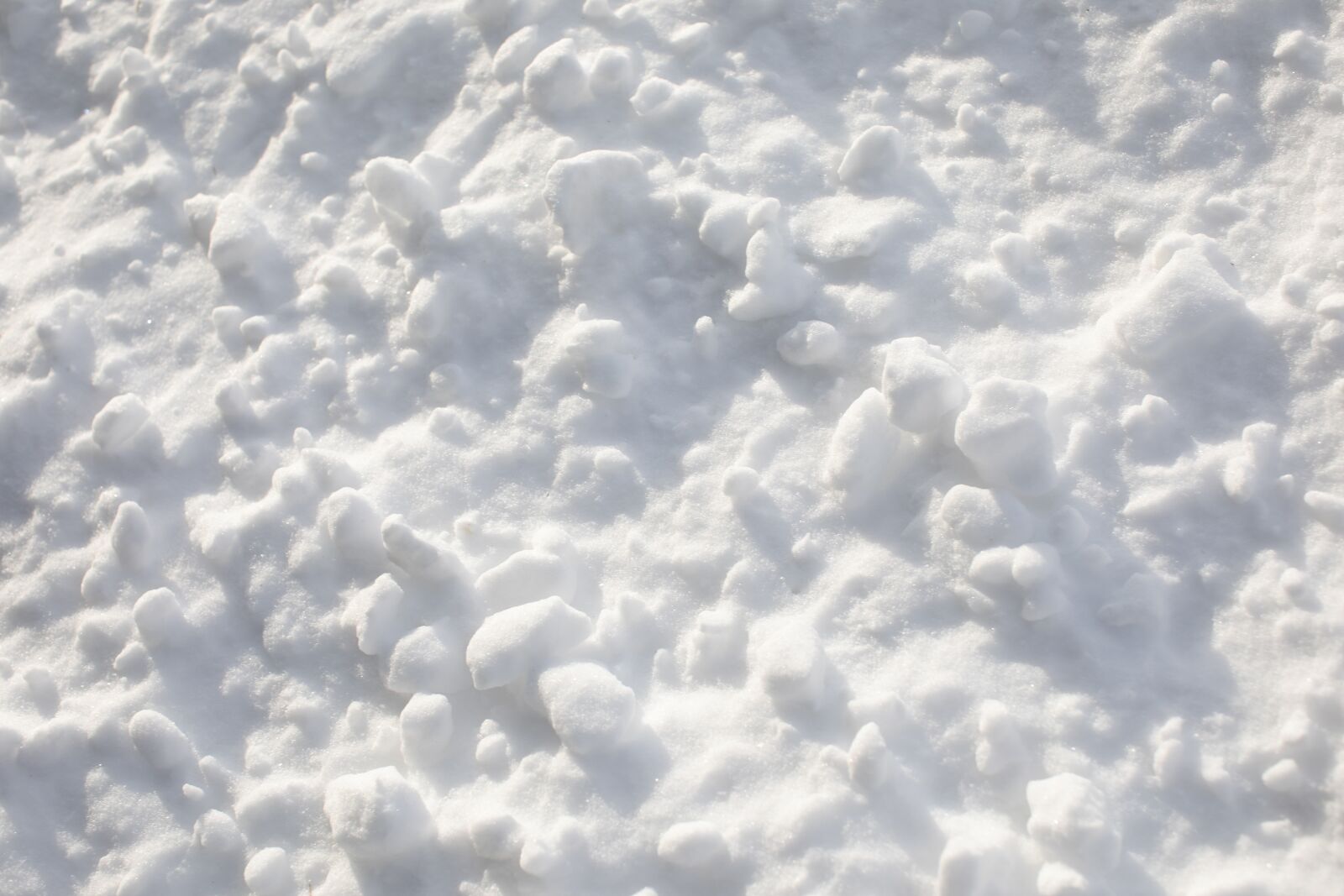 Canon EOS 5D Mark IV sample photo. Snow, snowbank, winter photography
