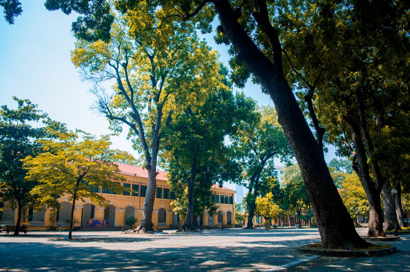 Nikon D90 sample photo. Autumn, school, old photography