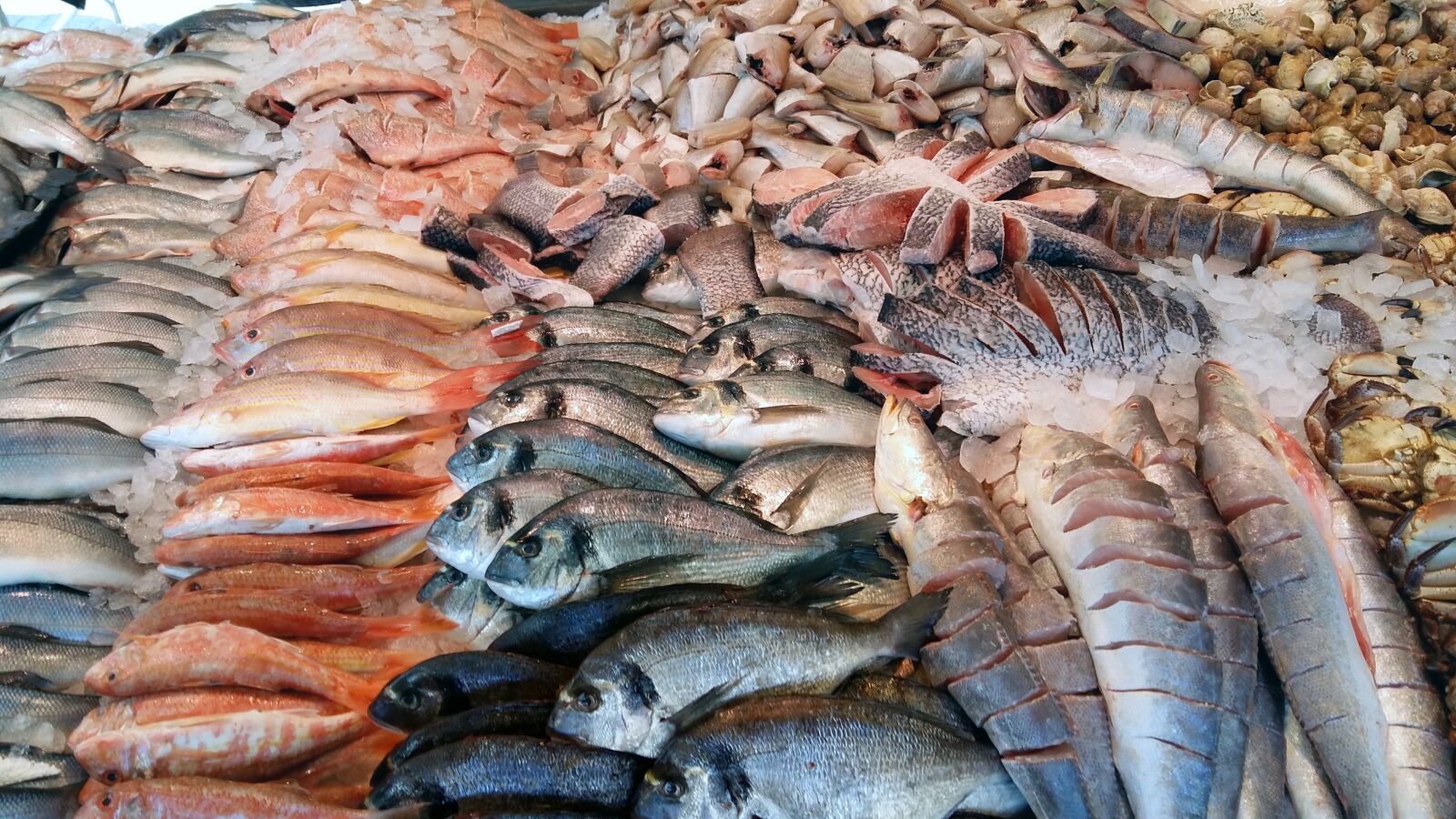Samsung Galaxy A5 sample photo. Fish, market, sea photography