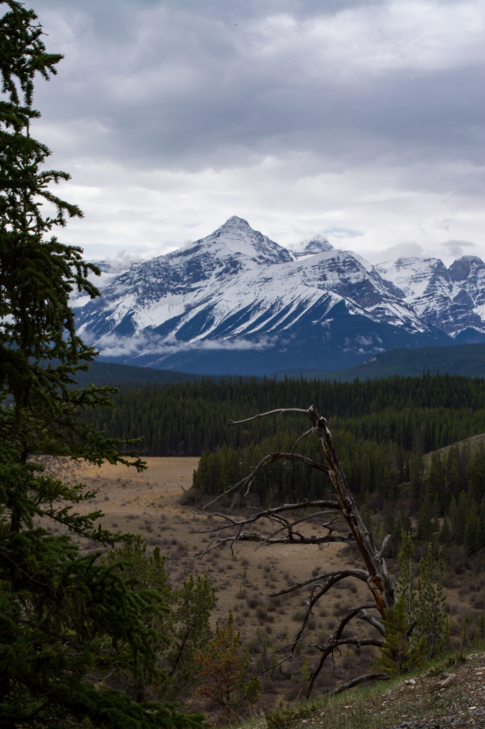 Nikon D3200 sample photo. Banff, beauty, canada, canadian photography