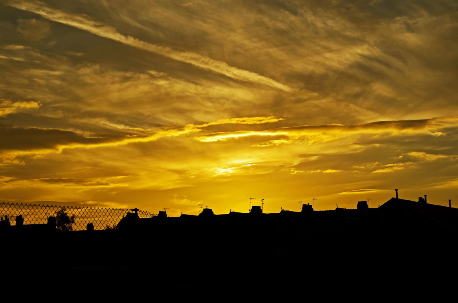 Nikon D5100 sample photo. City, nature, sunset, houses photography