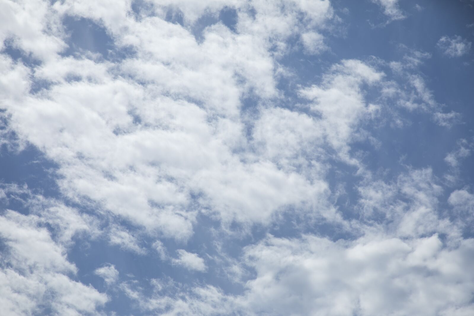 Canon EOS 5D Mark IV sample photo. Cloud, white, sky photography