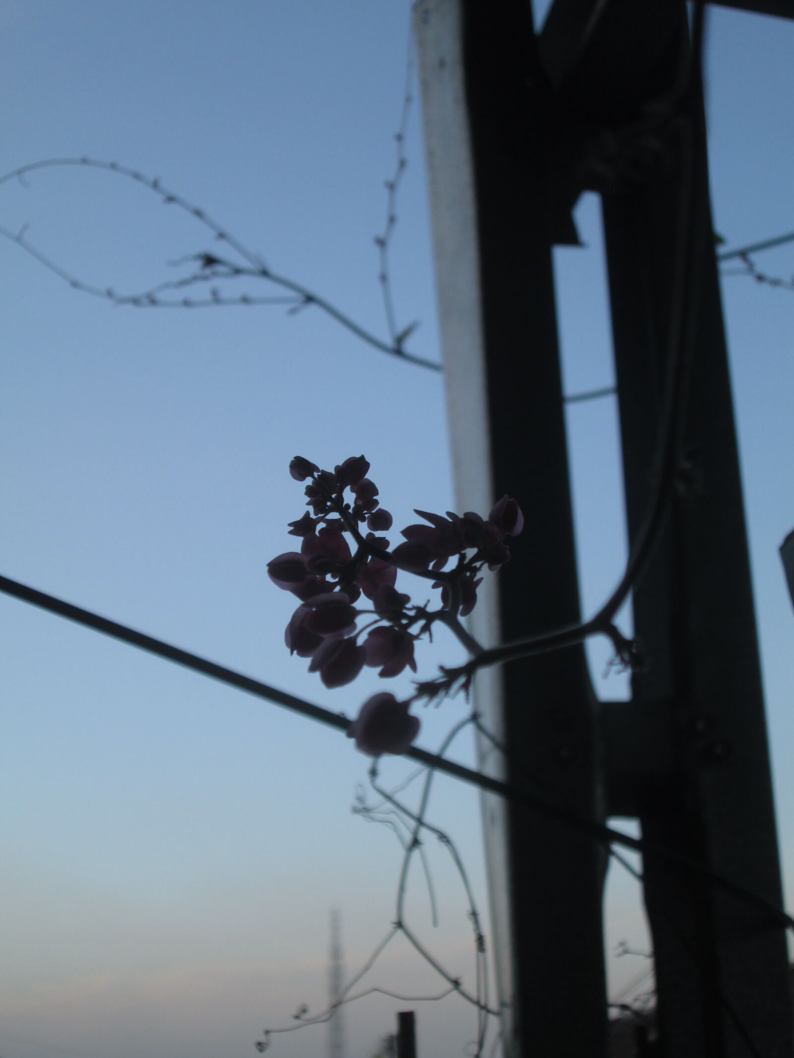 Canon PowerShot A2300 sample photo