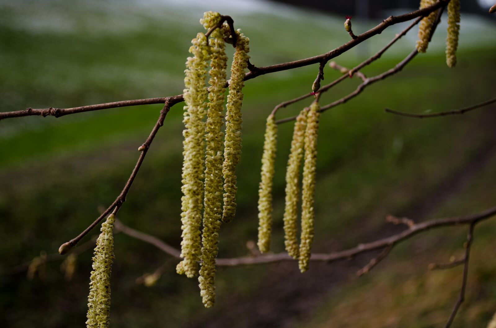Nikon D7000 sample photo. Landscape, outdoor, nature photography