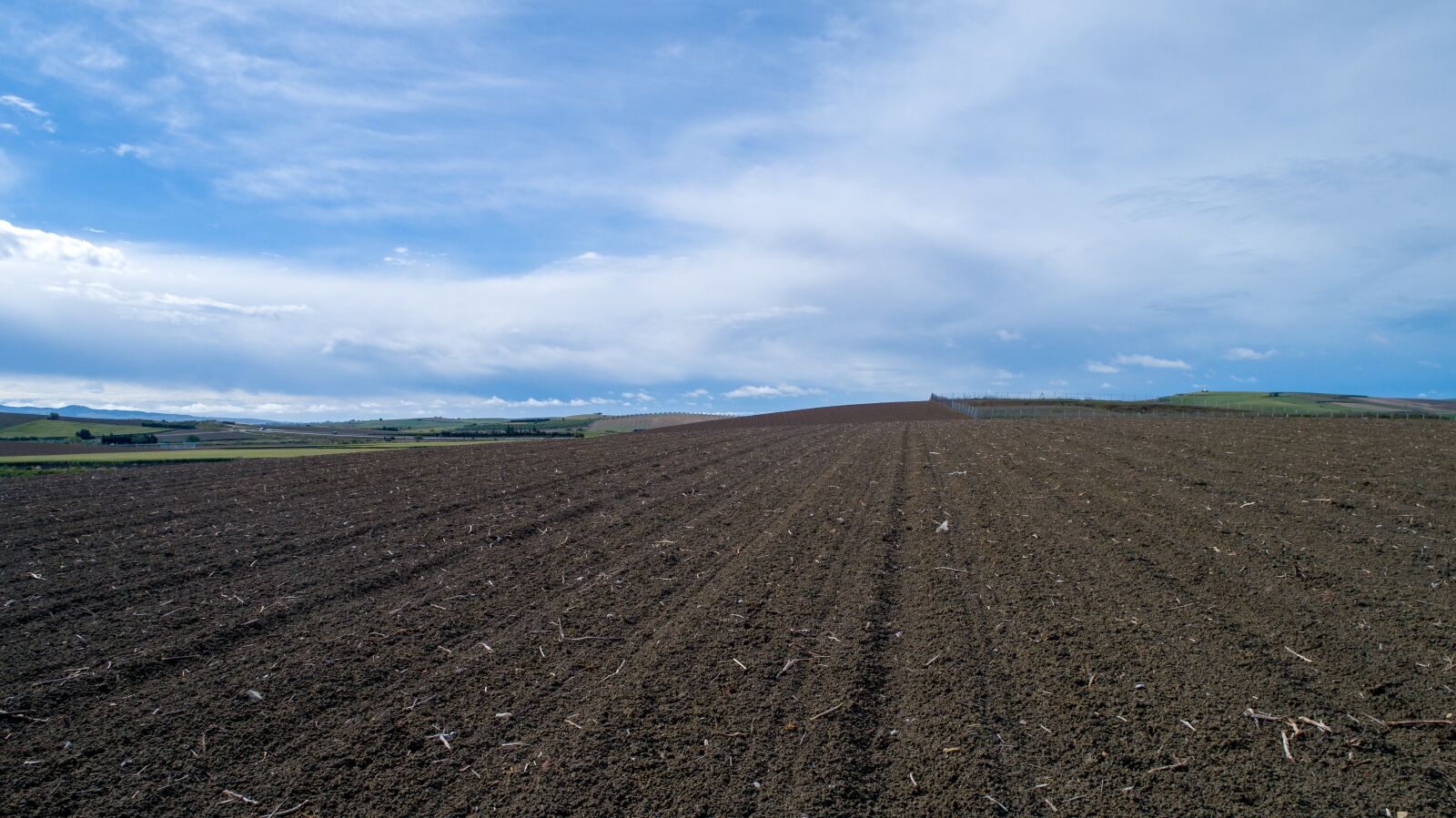 DJI FC6510 sample photo. Fern, agriculture, field photography