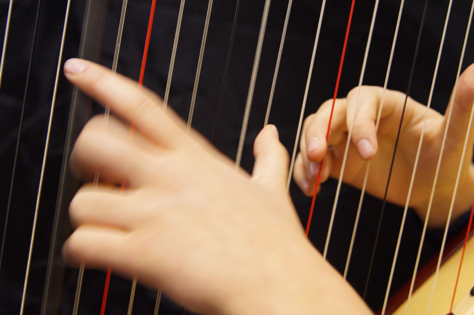 Sony SLT-A58 sample photo. Hands, musical hands, harp photography