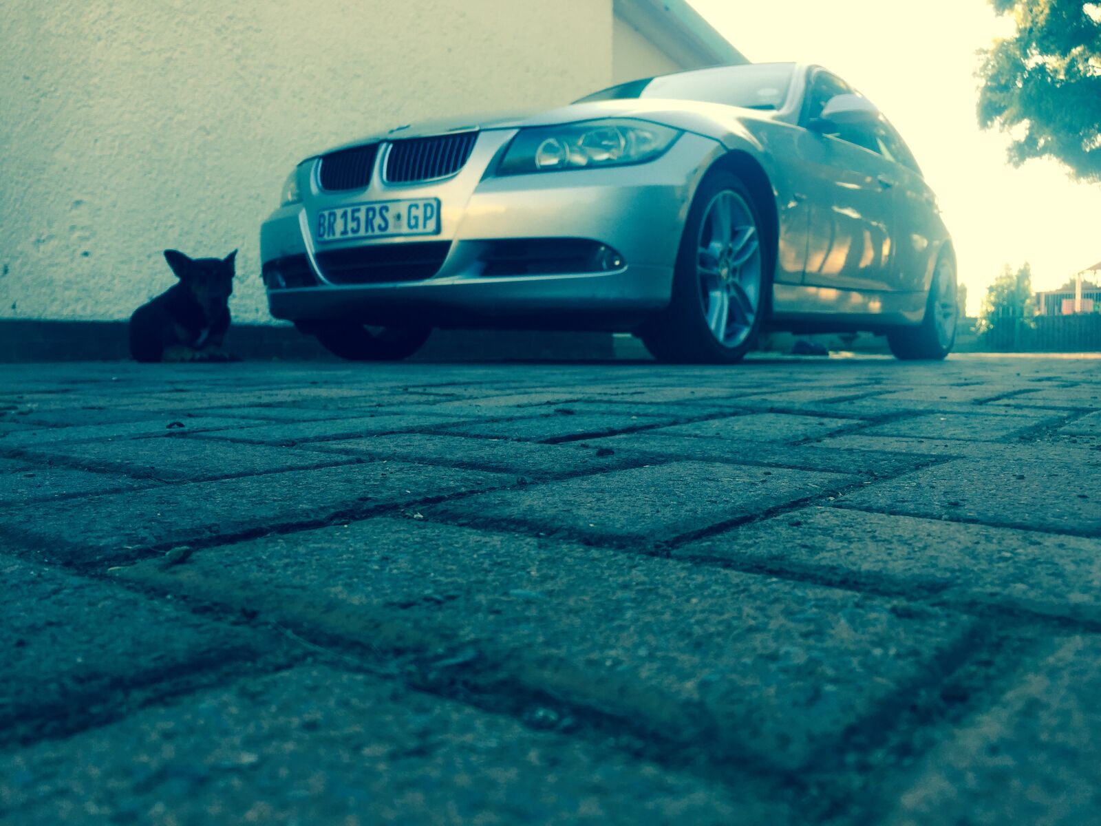 iPhone 6 back camera 4.15mm f/2.2 sample photo