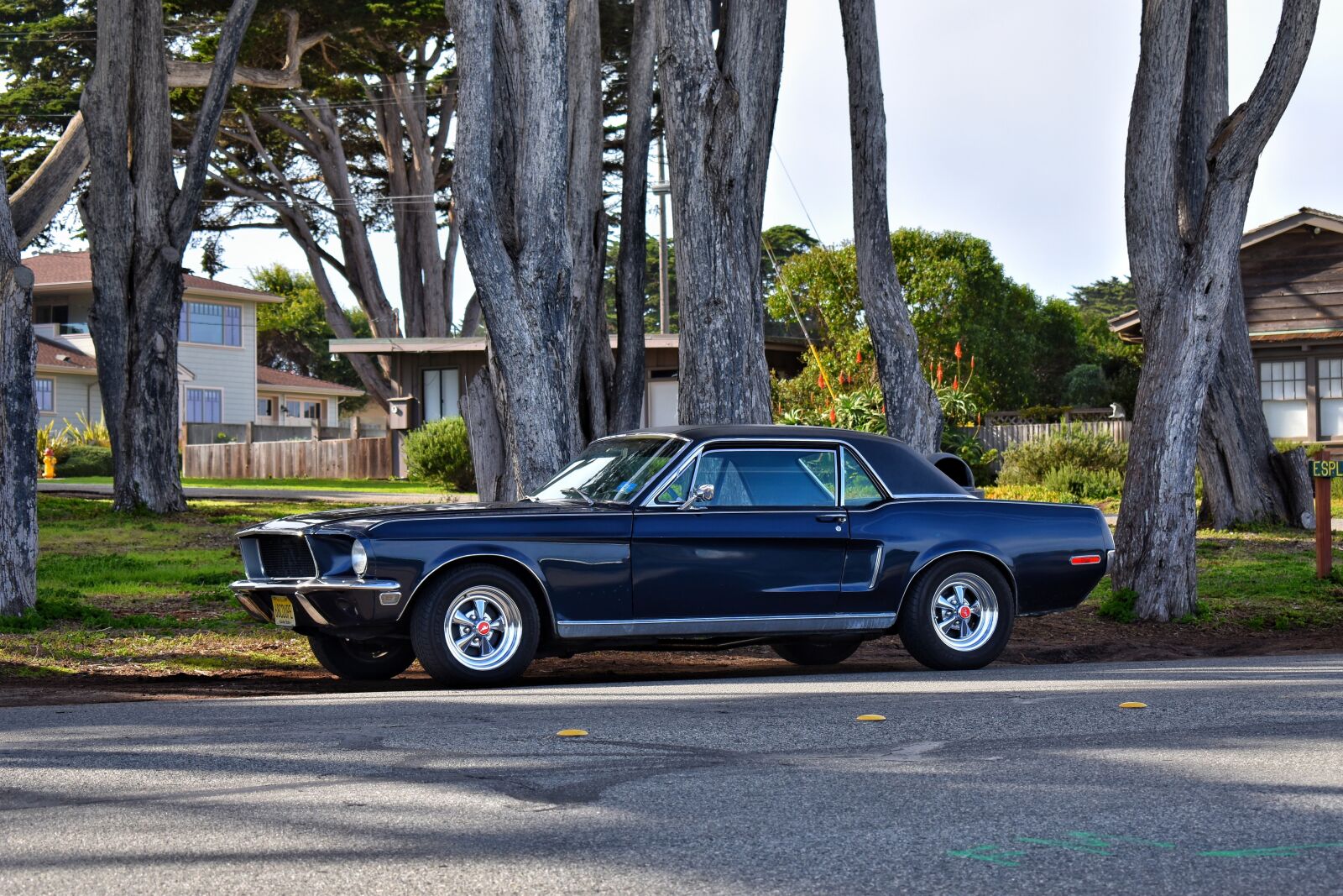 Nikon D3400 sample photo. Ford, mustang photography