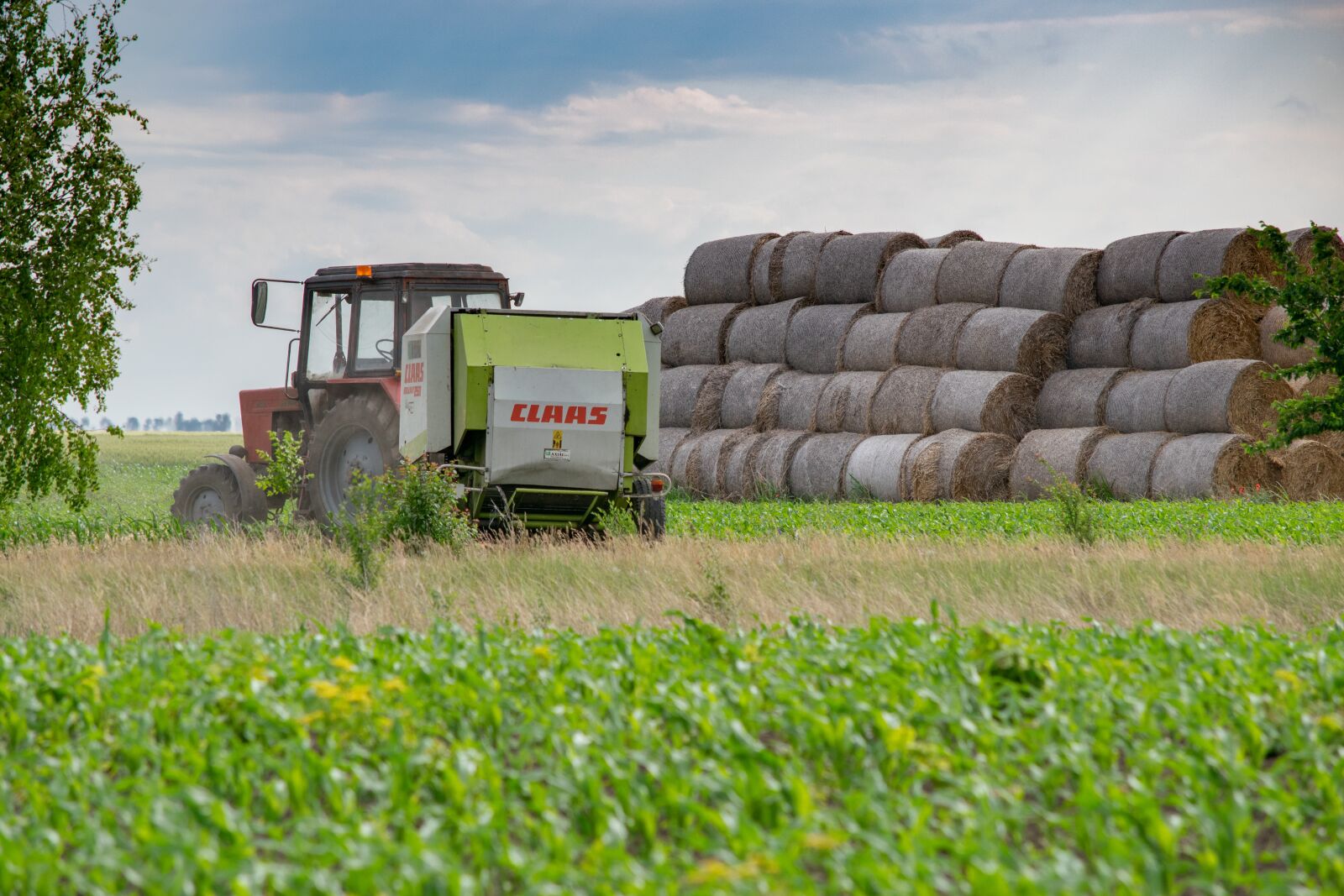 Nikon D3300 sample photo. Straw, tractor, baler photography