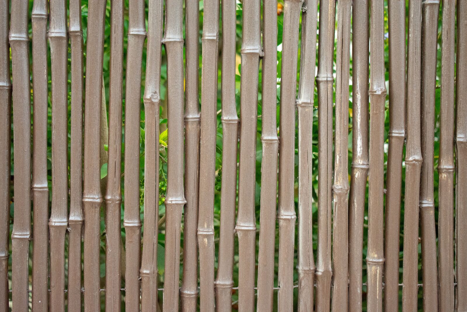 Nikon D7200 sample photo. Tree, fence, texture photography