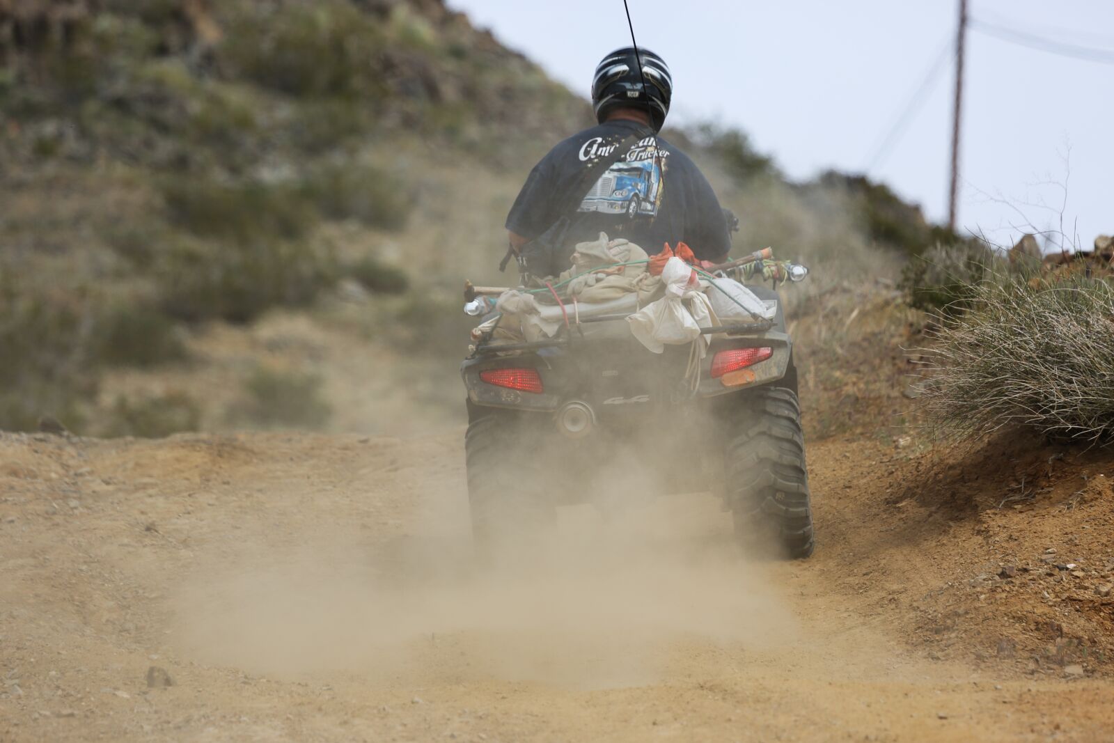 Canon EF 100-400mm F4.5-5.6L IS USM sample photo. Quadricycle, usa, desert photography