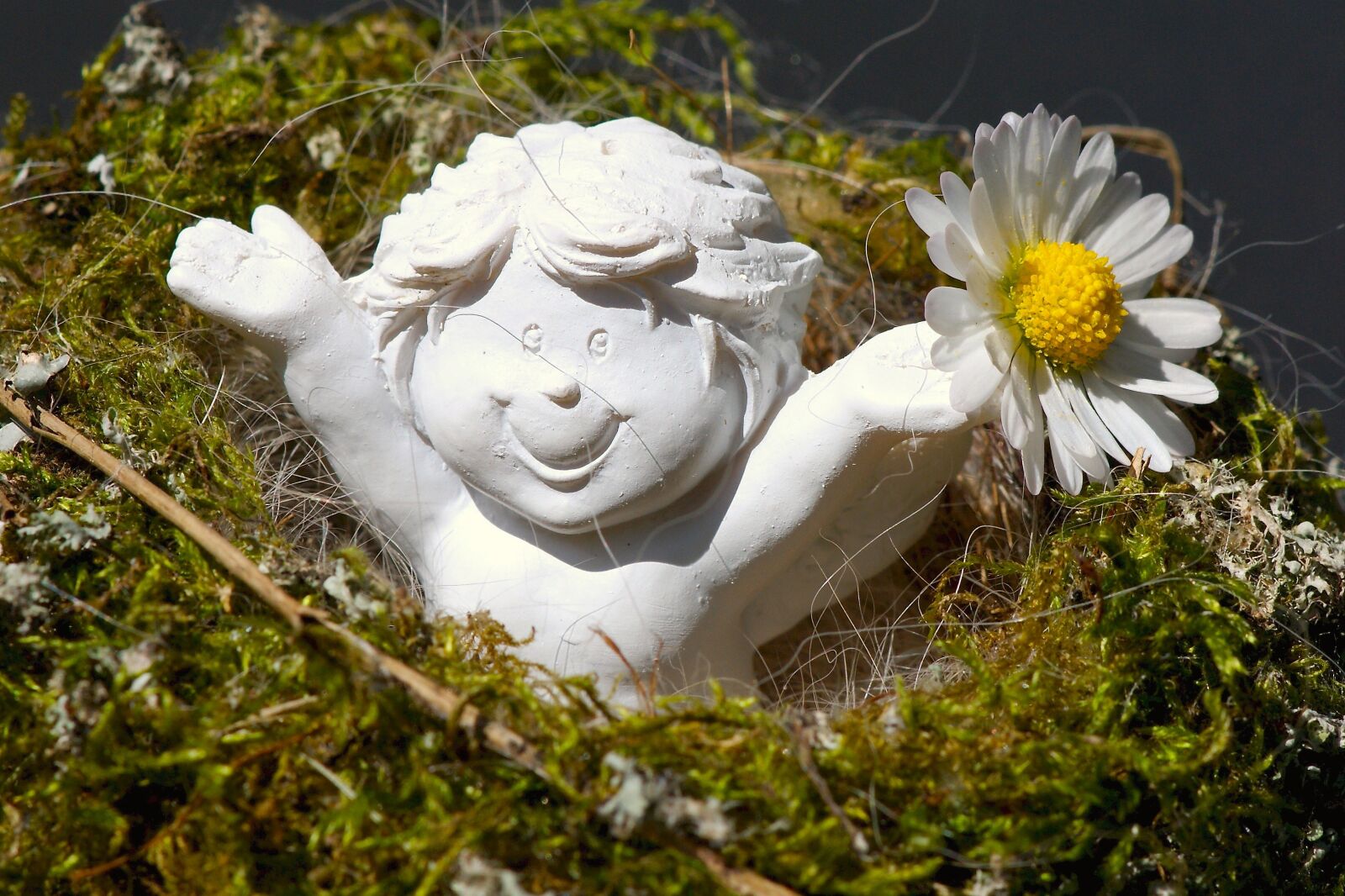 Sony Alpha DSLR-A350 sample photo. Guardian angel, daisy, cheerful photography