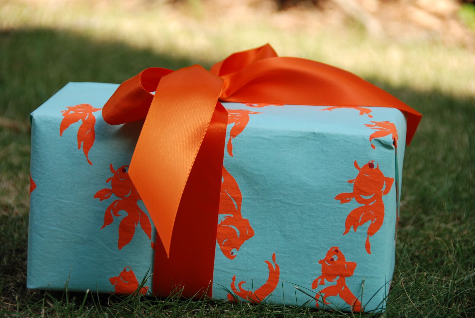 Nikon D80 sample photo. Gift, present, wrapped photography