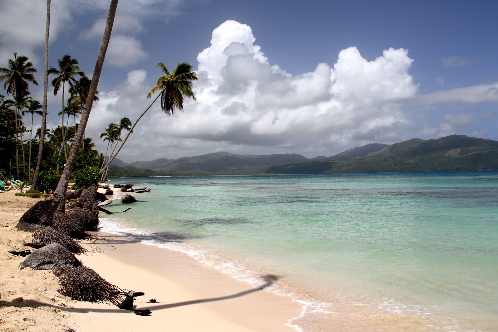 Canon EOS 550D (EOS Rebel T2i / EOS Kiss X4) sample photo. Beach, palm, caribbean photography