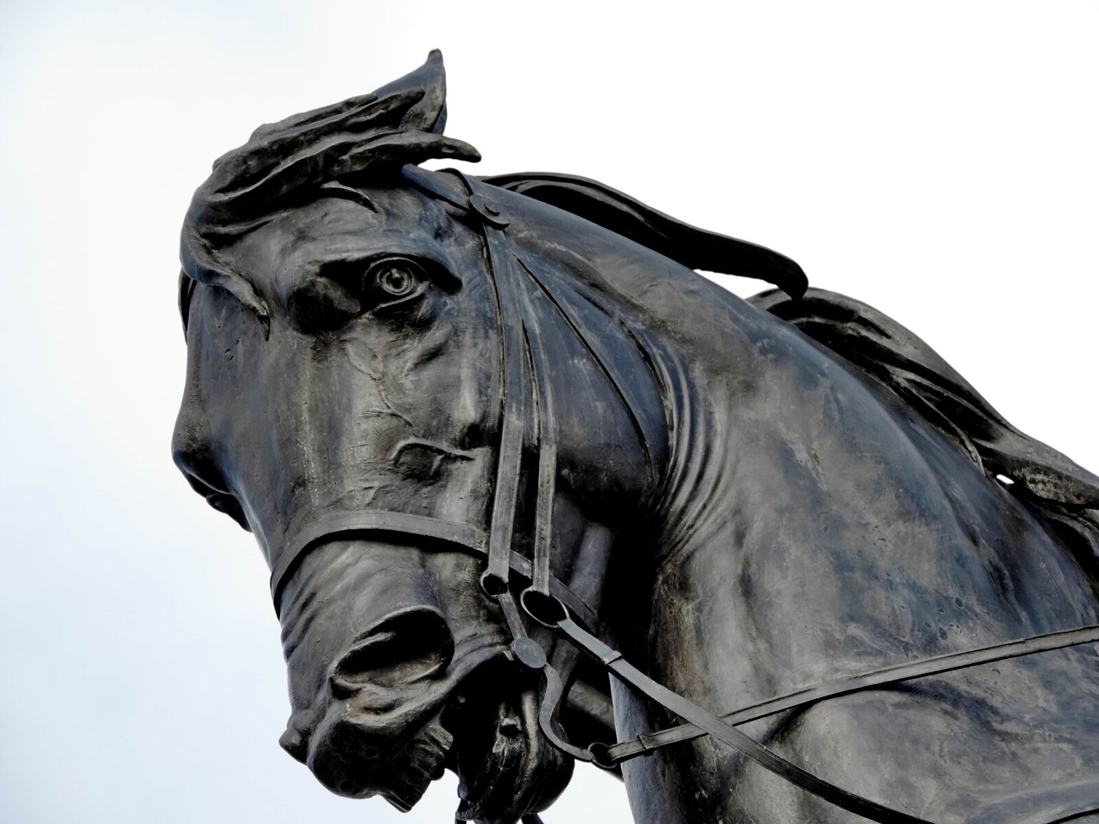 Nikon Coolpix P520 sample photo. Bronze, statue, horse, animal photography
