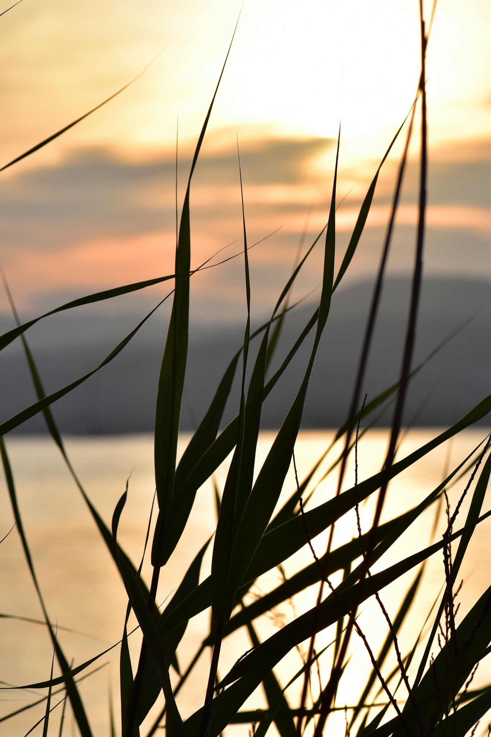 Nikon D5500 sample photo. Sunset, mood, sun photography