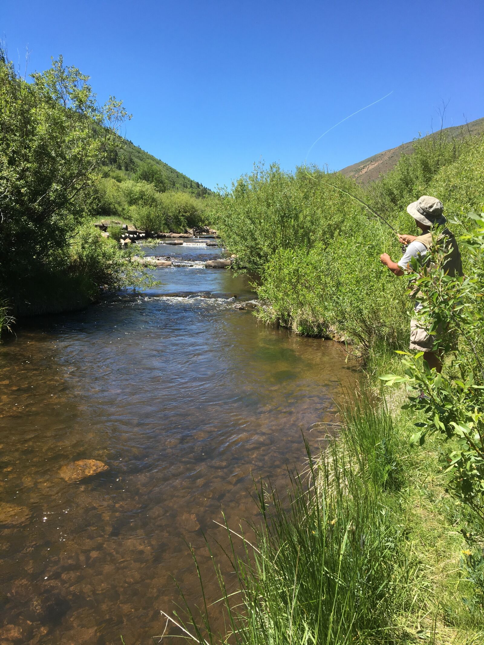 Apple iPhone 6s sample photo. Stream, fishing, fly photography