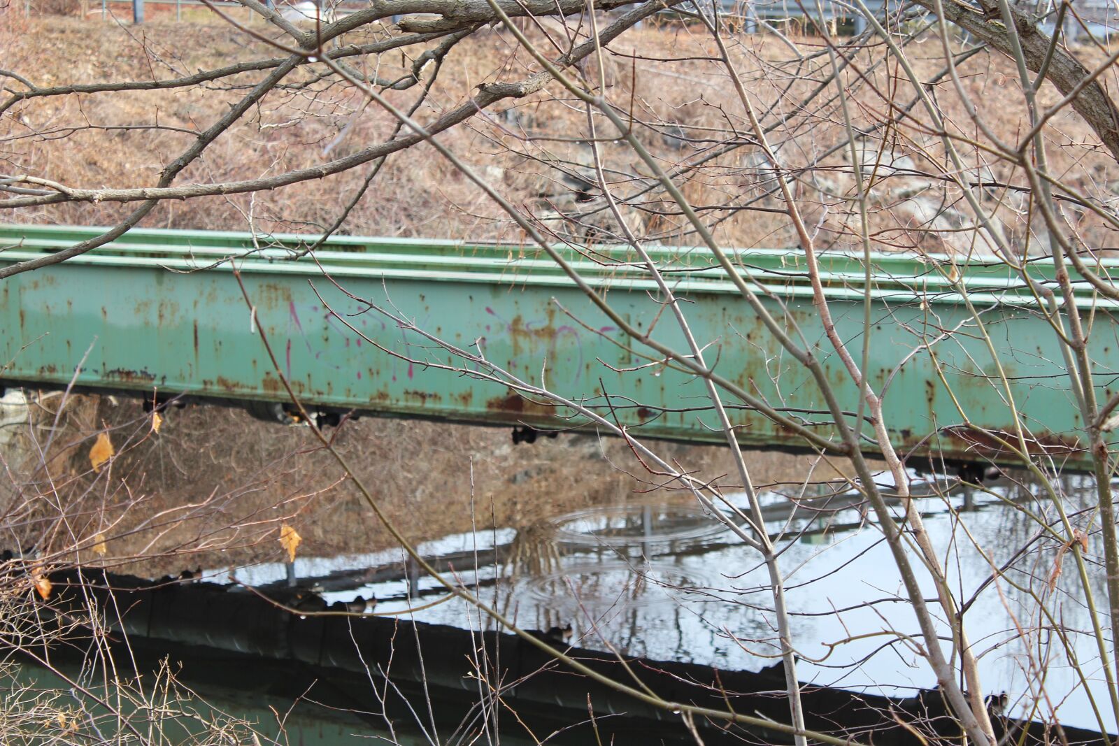 Canon EOS 1300D (EOS Rebel T6 / EOS Kiss X80) sample photo. Bridge, reflection, river photography