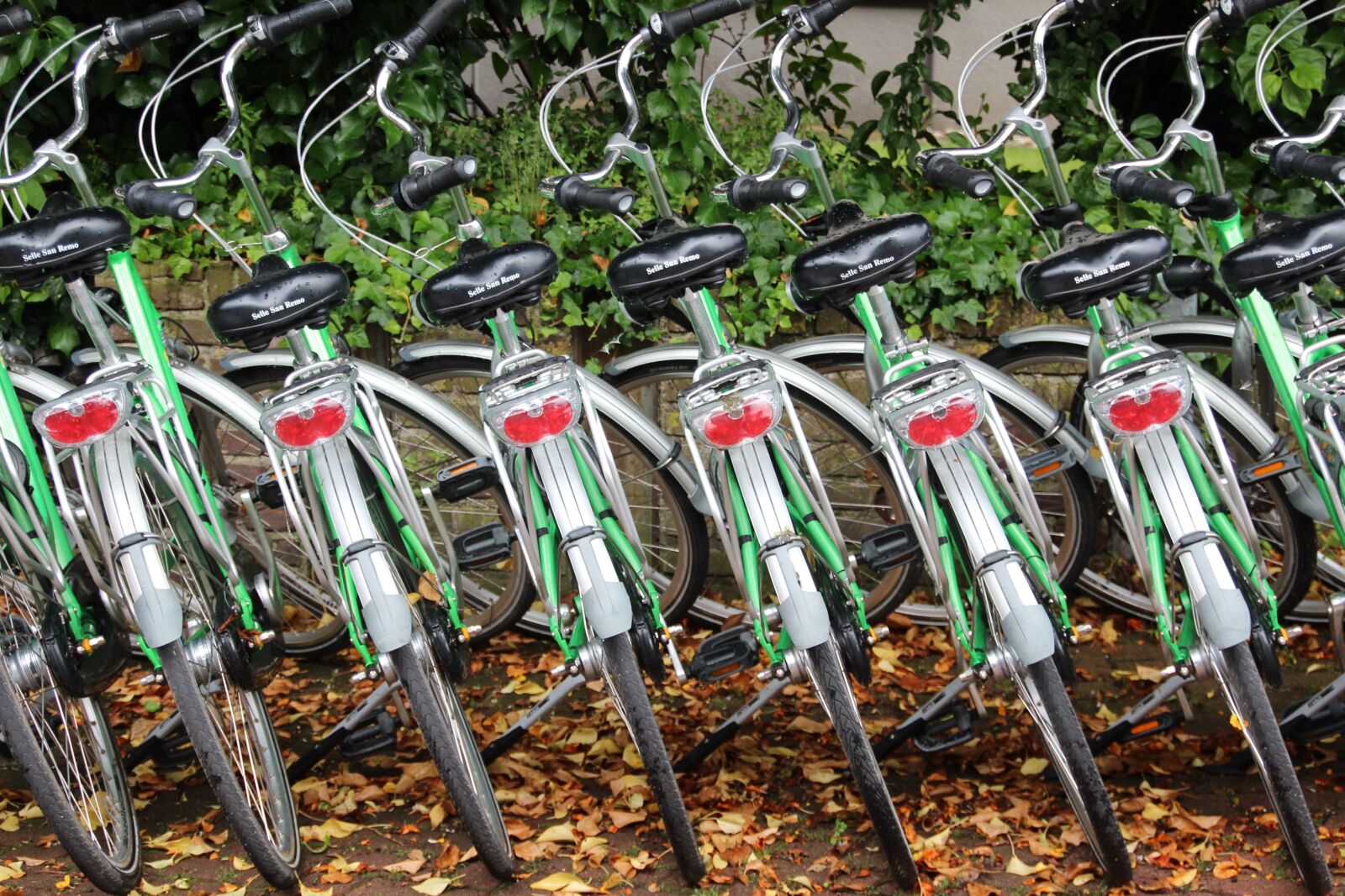 Canon EOS 600D (Rebel EOS T3i / EOS Kiss X5) sample photo. Bike, bicycle rental, cycling photography