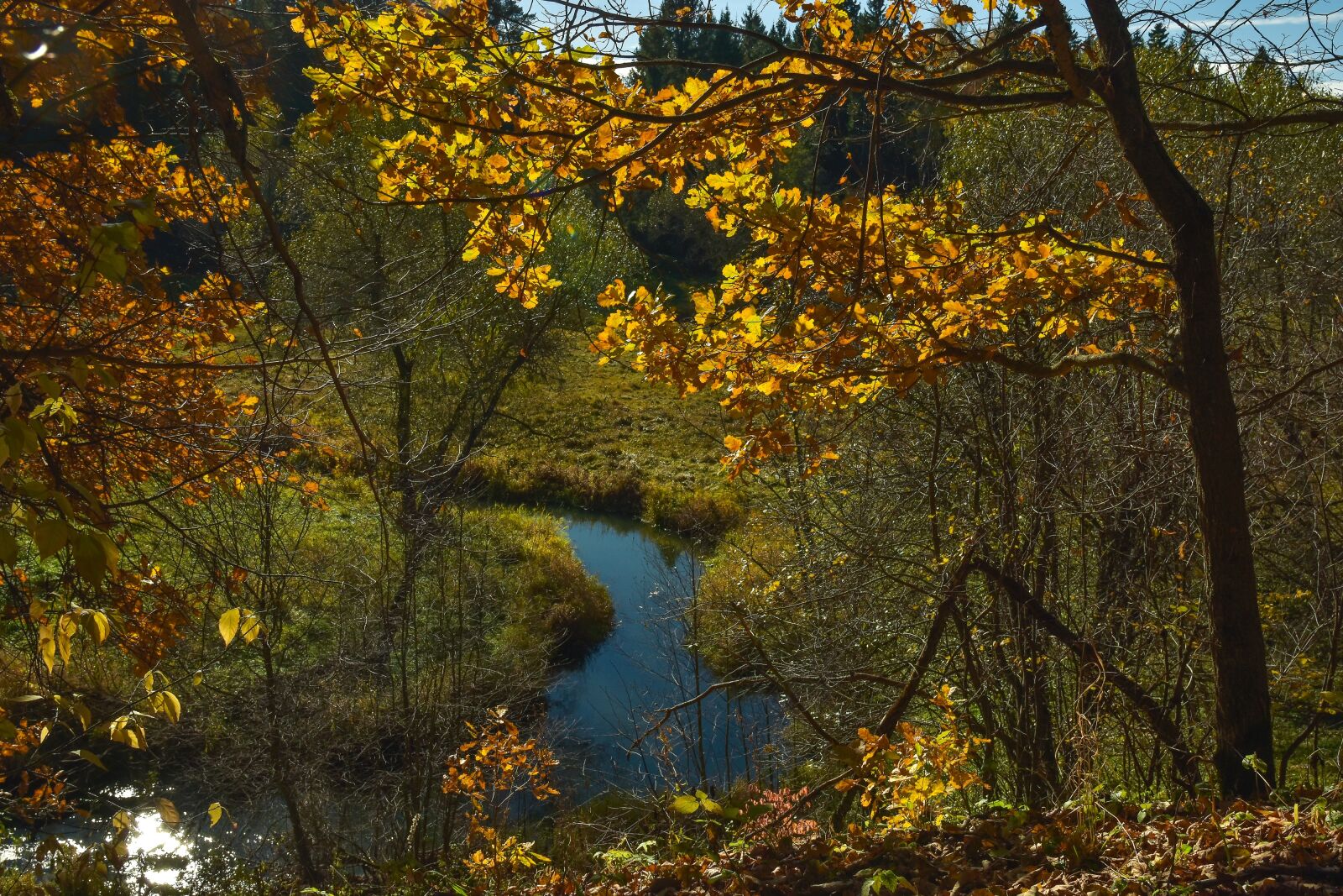 Nikon D5500 sample photo. Autumn, nature, landscape photography