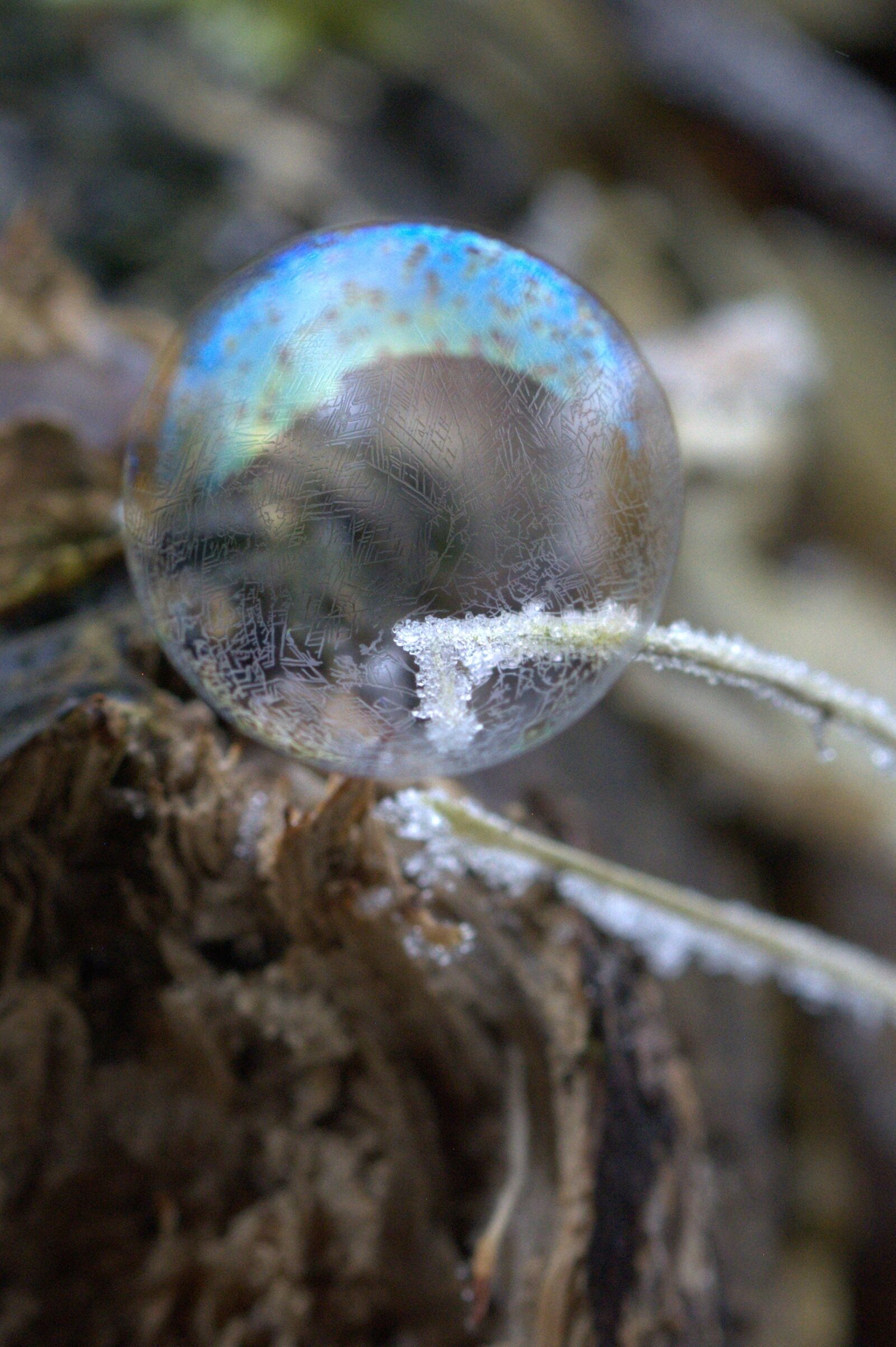 Nikon D5200 sample photo. Soap bubble, pattern, structure photography
