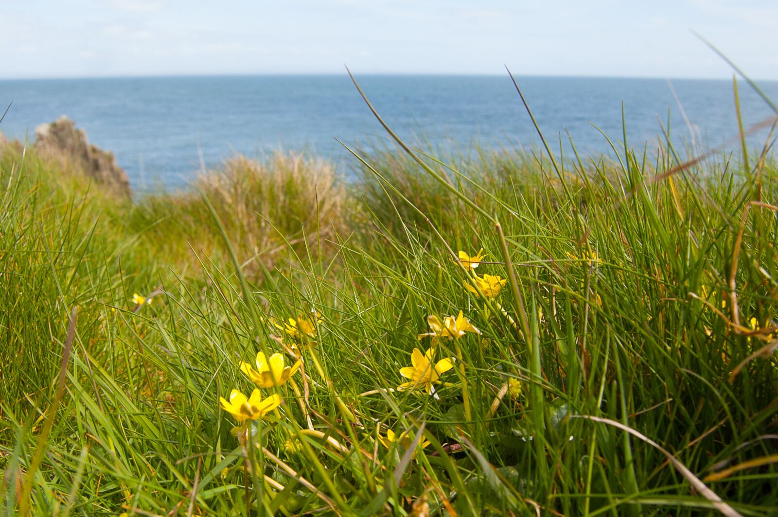 Nikon D40 sample photo. Sea, sky, dumfries and photography