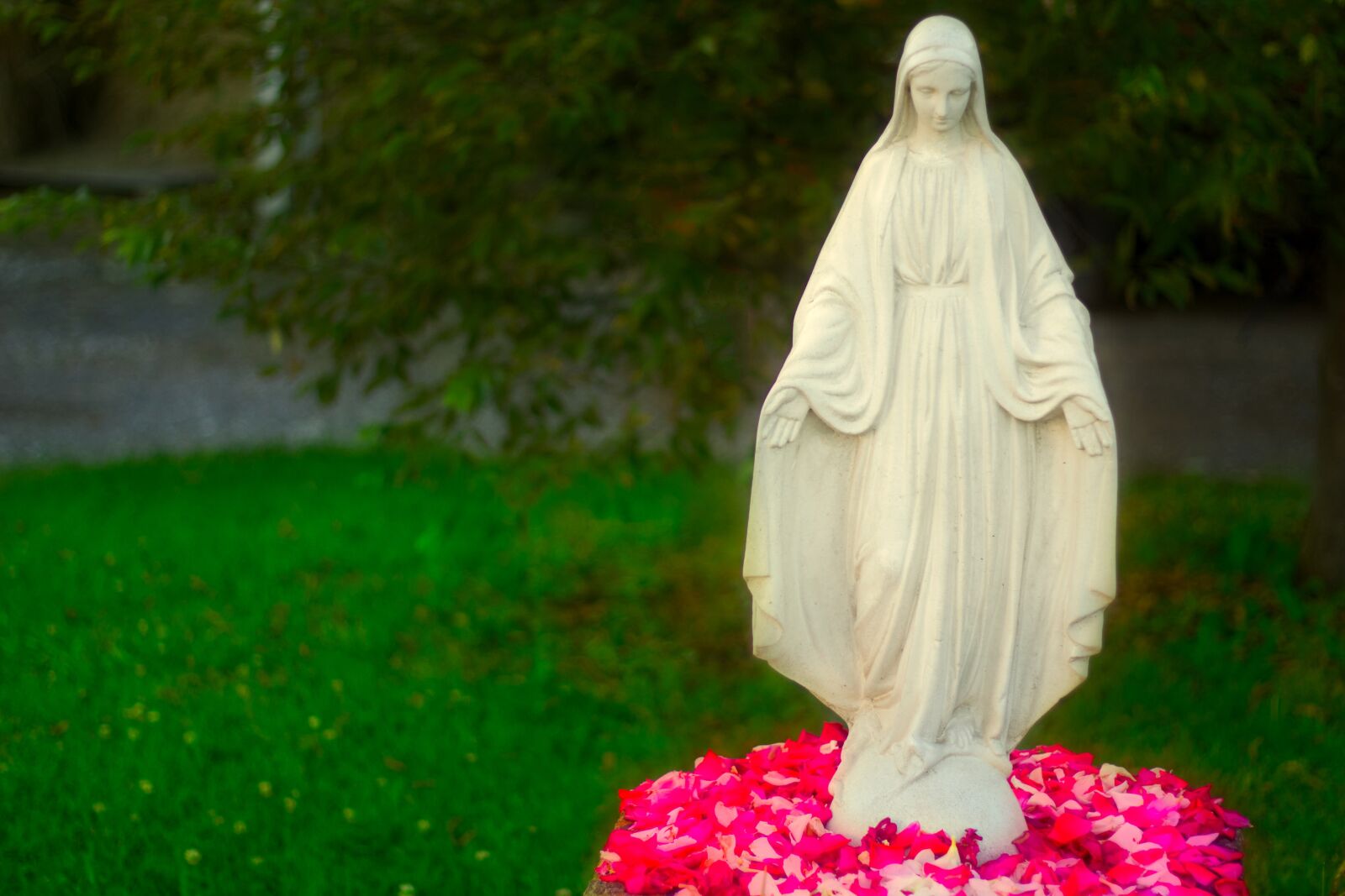 Canon EOS 550D (EOS Rebel T2i / EOS Kiss X4) + Canon EF 50mm F1.8 STM sample photo. Madonna, religion, light photography