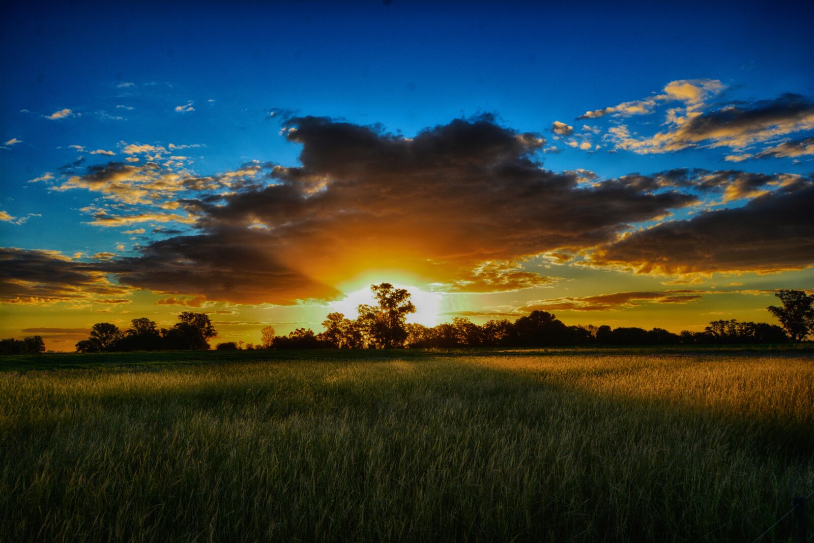 Nikon D7100 sample photo. Landscape, sun, rays photography