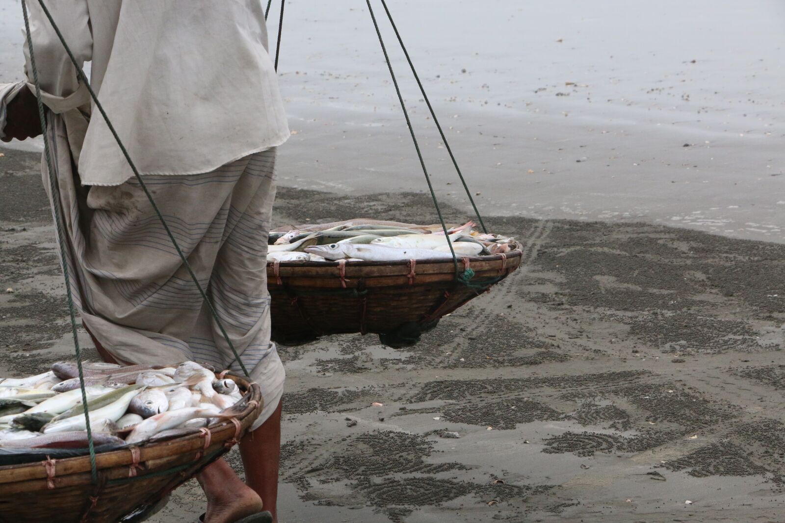 Canon EOS 70D sample photo. Fishing, people, cox's bazar photography