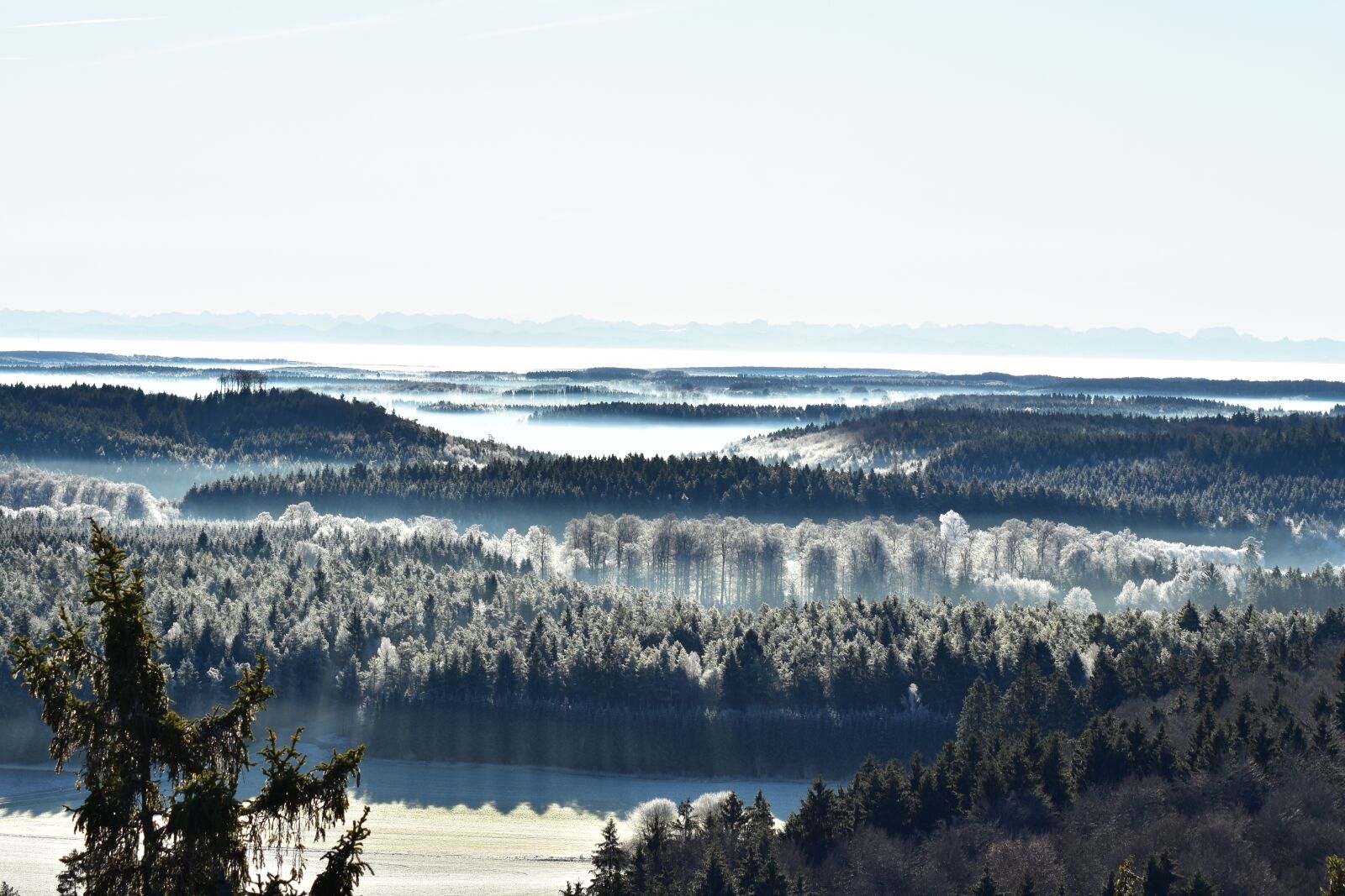 Nikon D3400 sample photo. Alpen, ice, fog photography