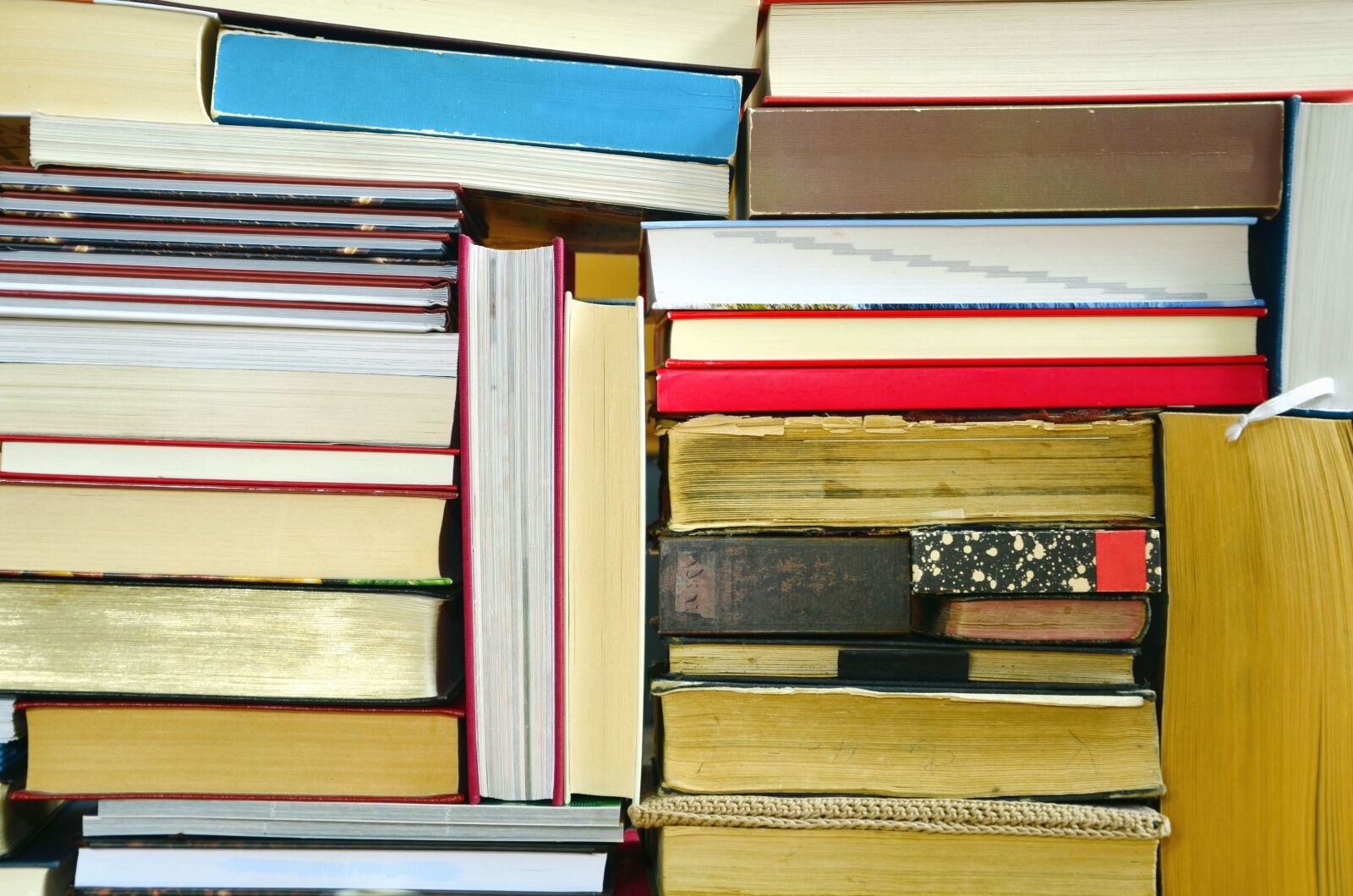 Nikon D5100 sample photo. Book, library, learning, knowledge photography