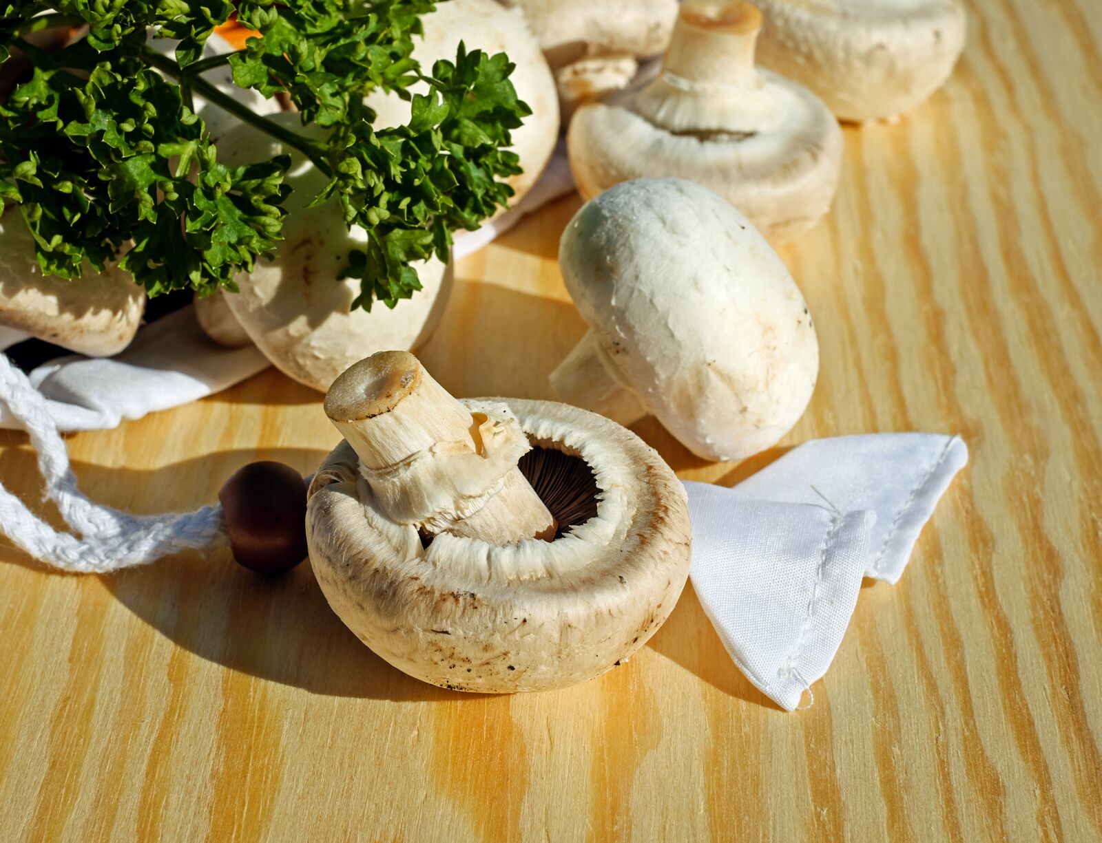 Fujifilm X-T10 + Fujifilm XF 35mm F1.4 R sample photo. Mushrooms, white mushroom, edible photography