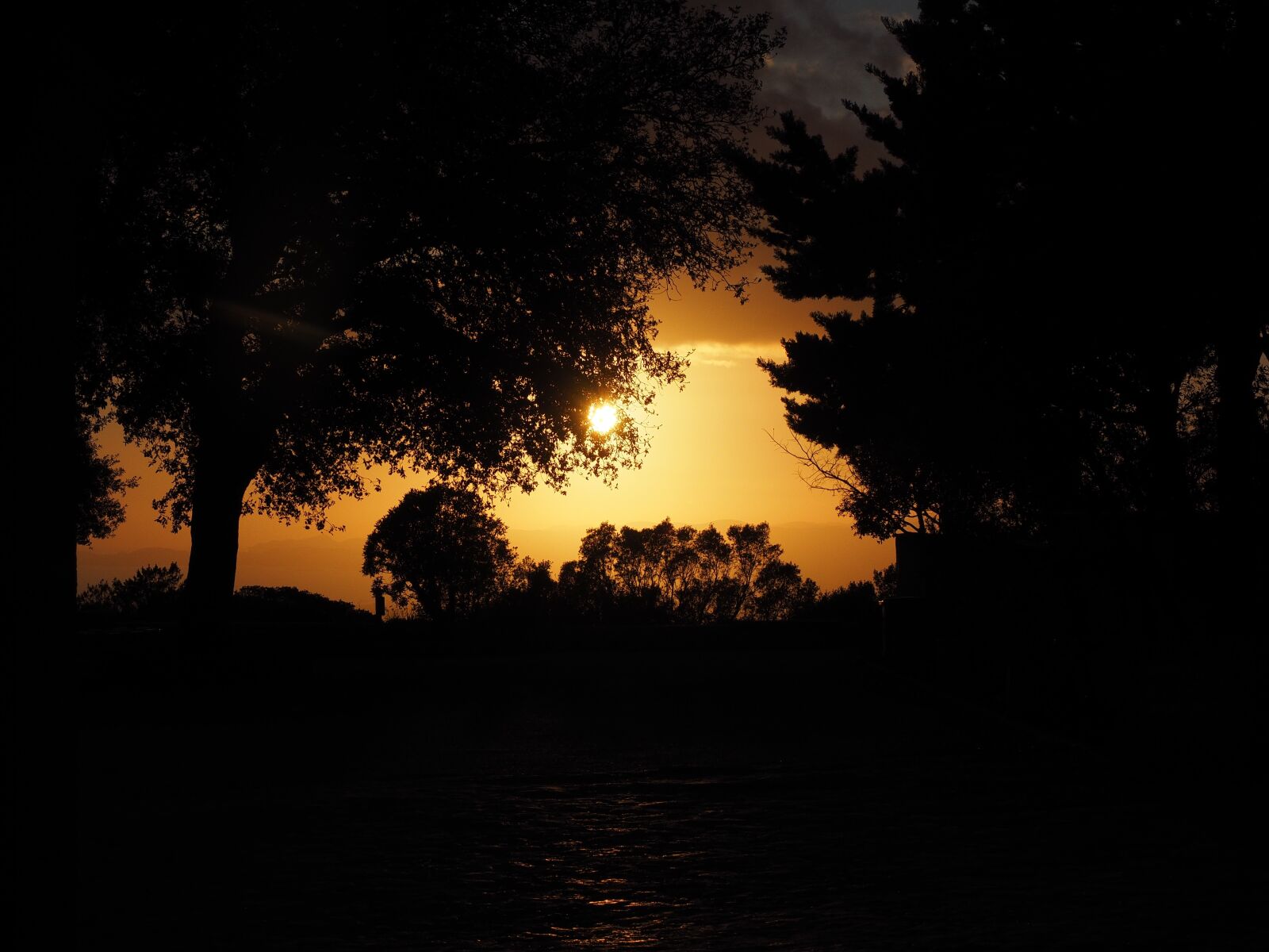 Olympus OM-D E-M1 + Olympus M.Zuiko Digital ED 12-40mm F2.8 Pro sample photo. Sunset, passage, sun photography
