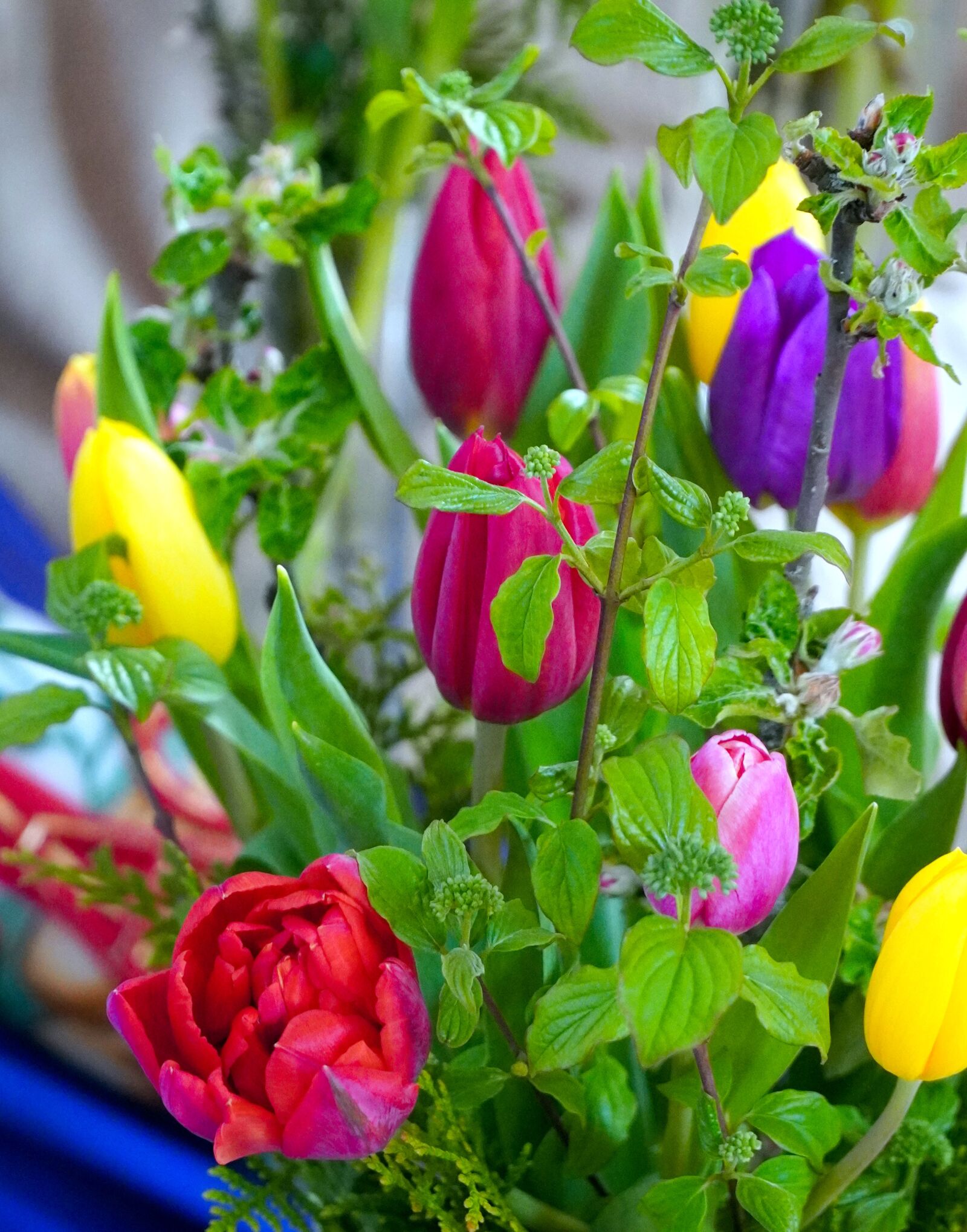 Sony E PZ 18-105mm F4 G OSS sample photo. Tulips, colorful, bouquet photography