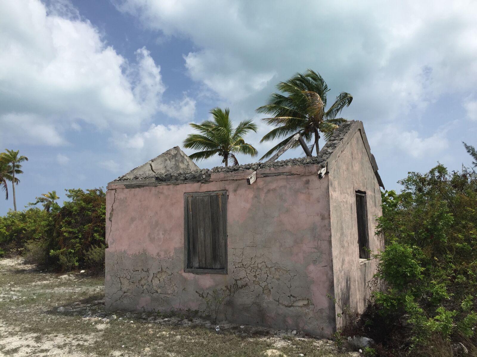 iPhone 6 back camera 4.15mm f/2.2 sample photo. Bahamas, building, palmtree photography