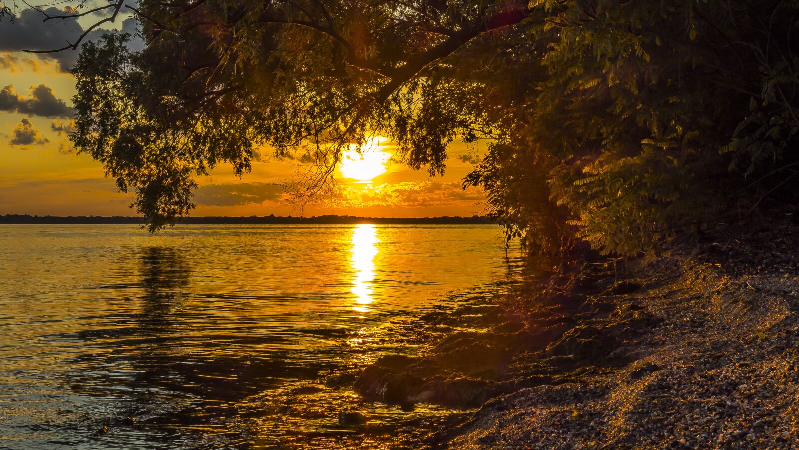 Sony Cyber-shot DSC-RX100 sample photo. Water, nature, tree photography
