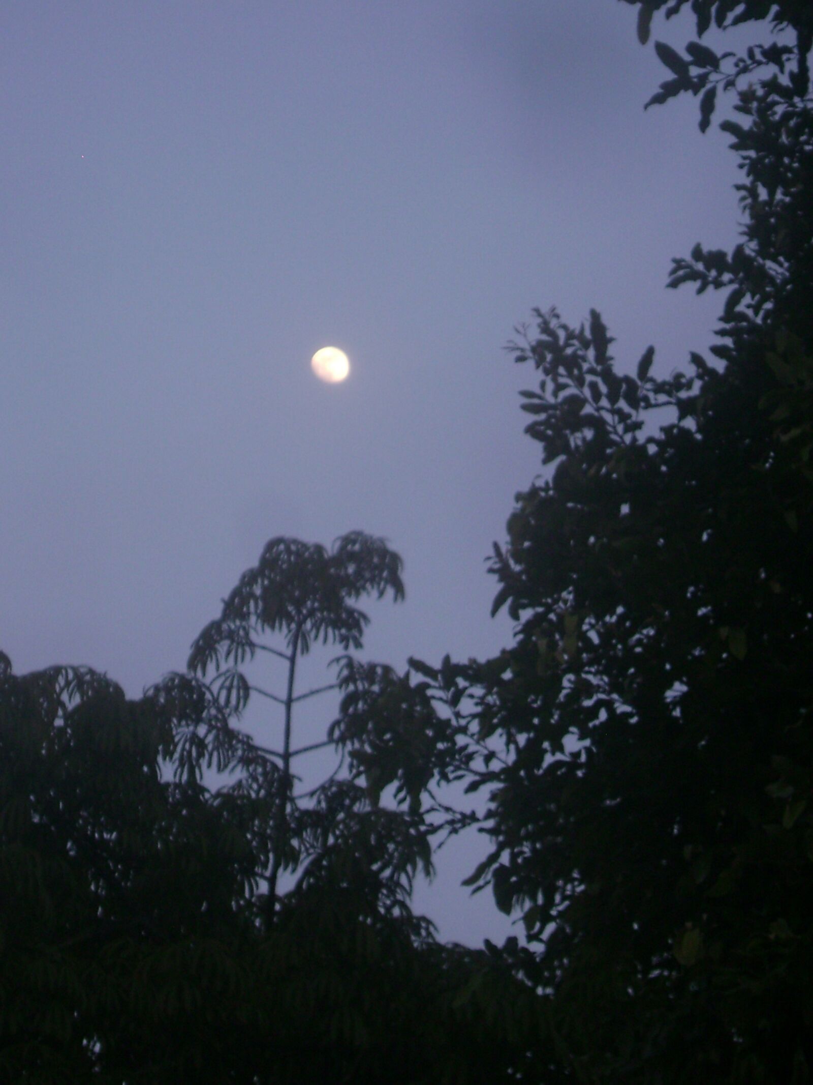 Sony DSC-S700 sample photo. Barrancabermeja, dusk, moon photography