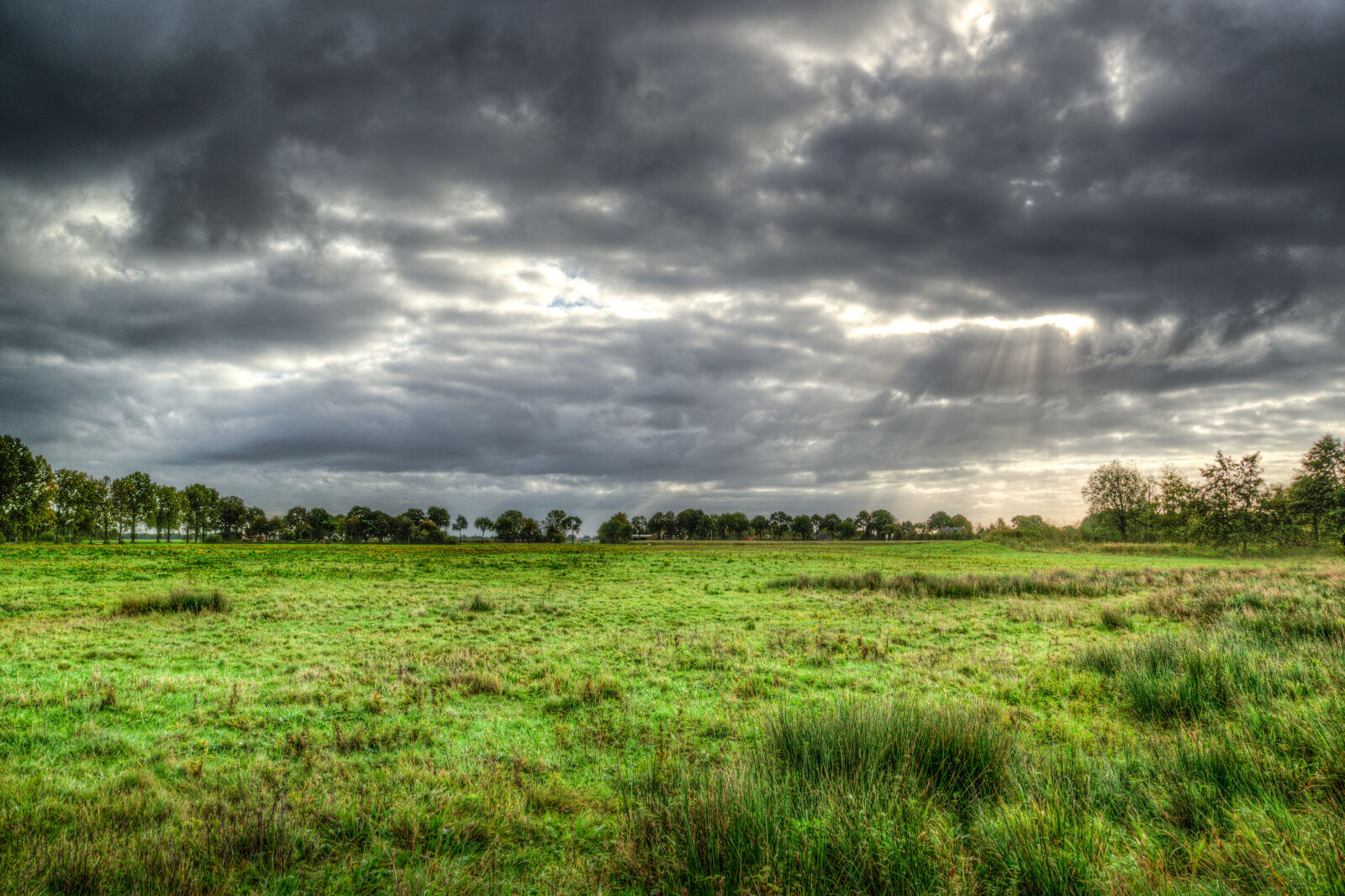 Nikon D610 sample photo. Agriculture, clouds, cloudy, countryside photography