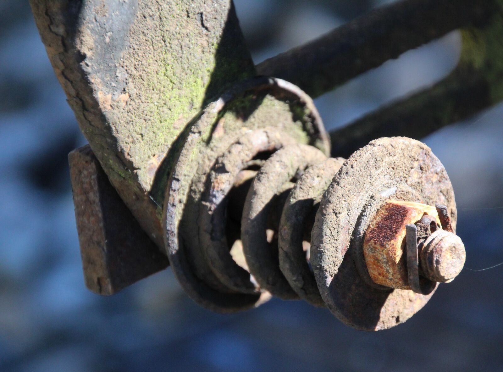 Canon EOS 1200D (EOS Rebel T5 / EOS Kiss X70 / EOS Hi) sample photo. Mother, rust, feather photography