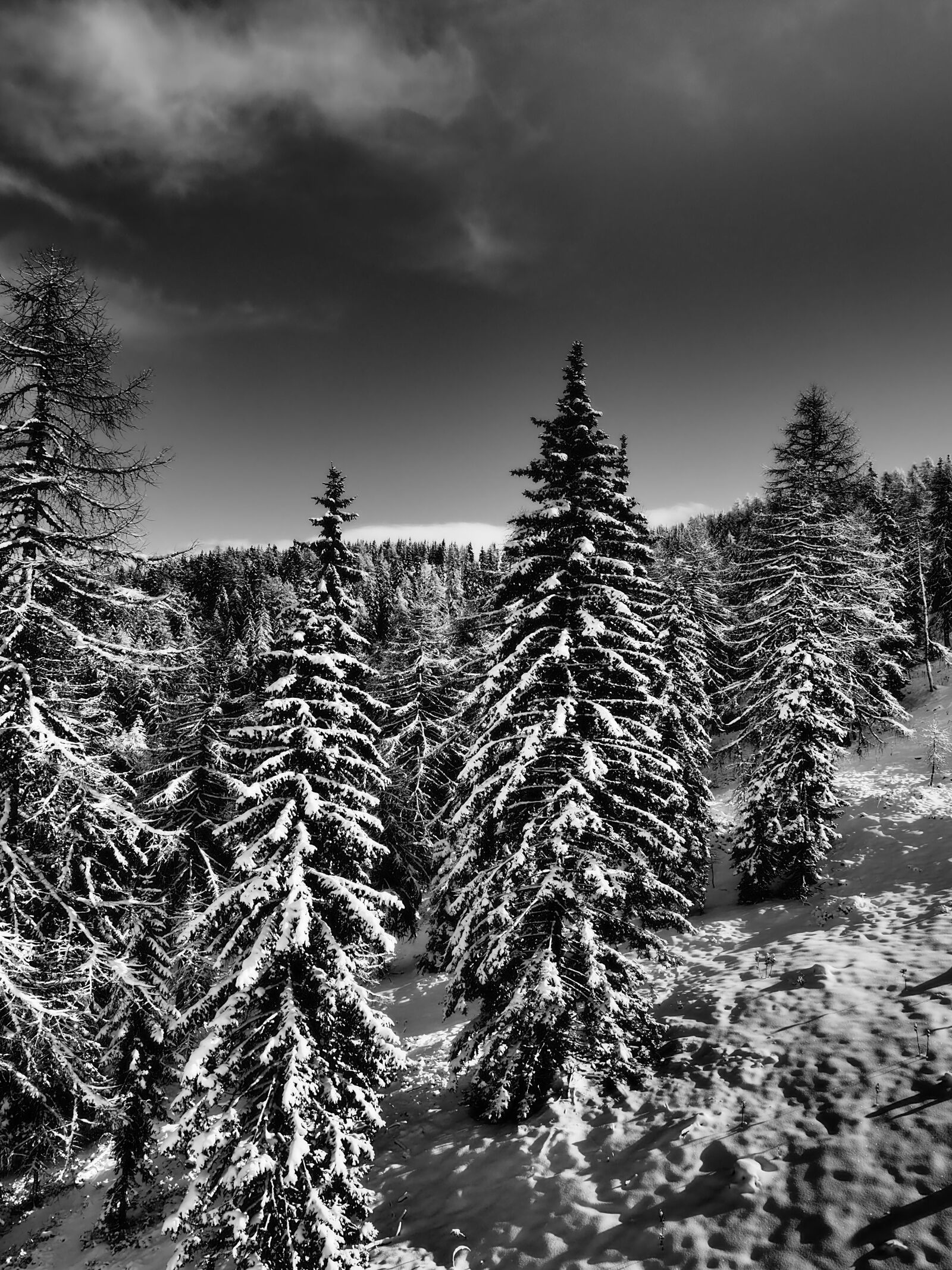 Olympus OM-D E-M5 II + Olympus M.Zuiko Digital ED 12-40mm F2.8 Pro sample photo. Skiing, snow, runway photography
