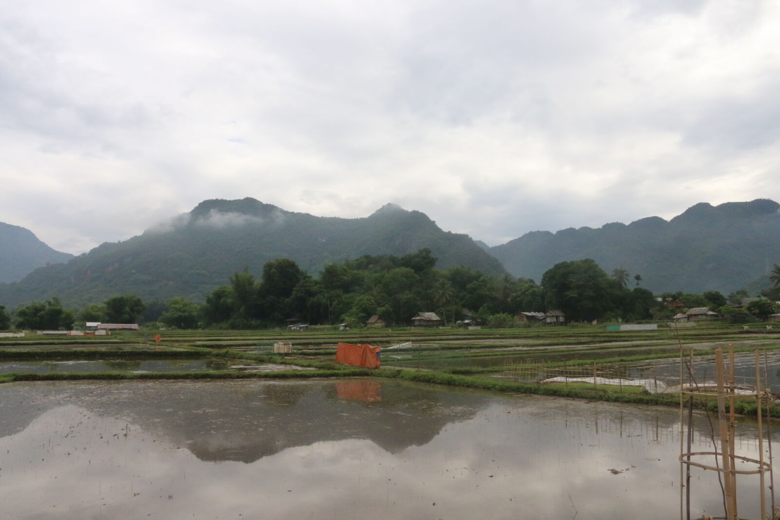 Canon EOS 70D sample photo