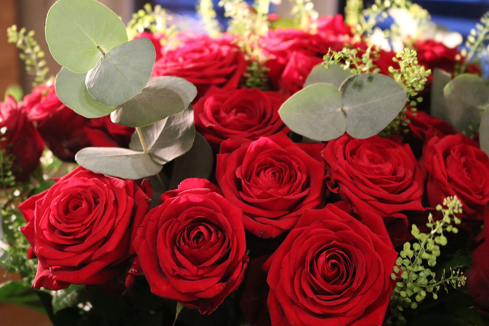 Canon EOS 750D (EOS Rebel T6i / EOS Kiss X8i) sample photo. Red roses, bouquet, roses photography
