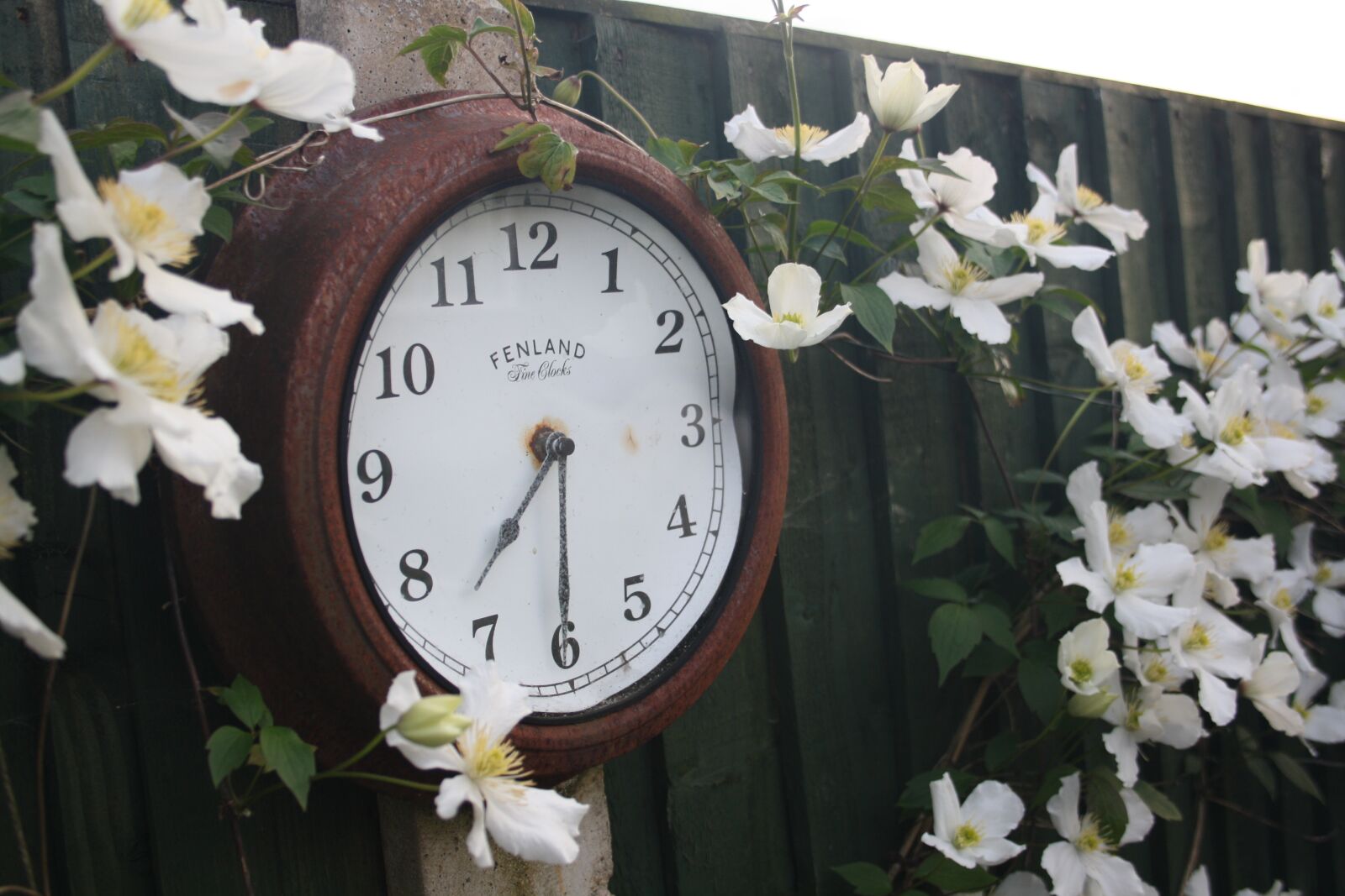 Canon EOS 1000D (EOS Digital Rebel XS / EOS Kiss F) sample photo. Clock, time, garden photography
