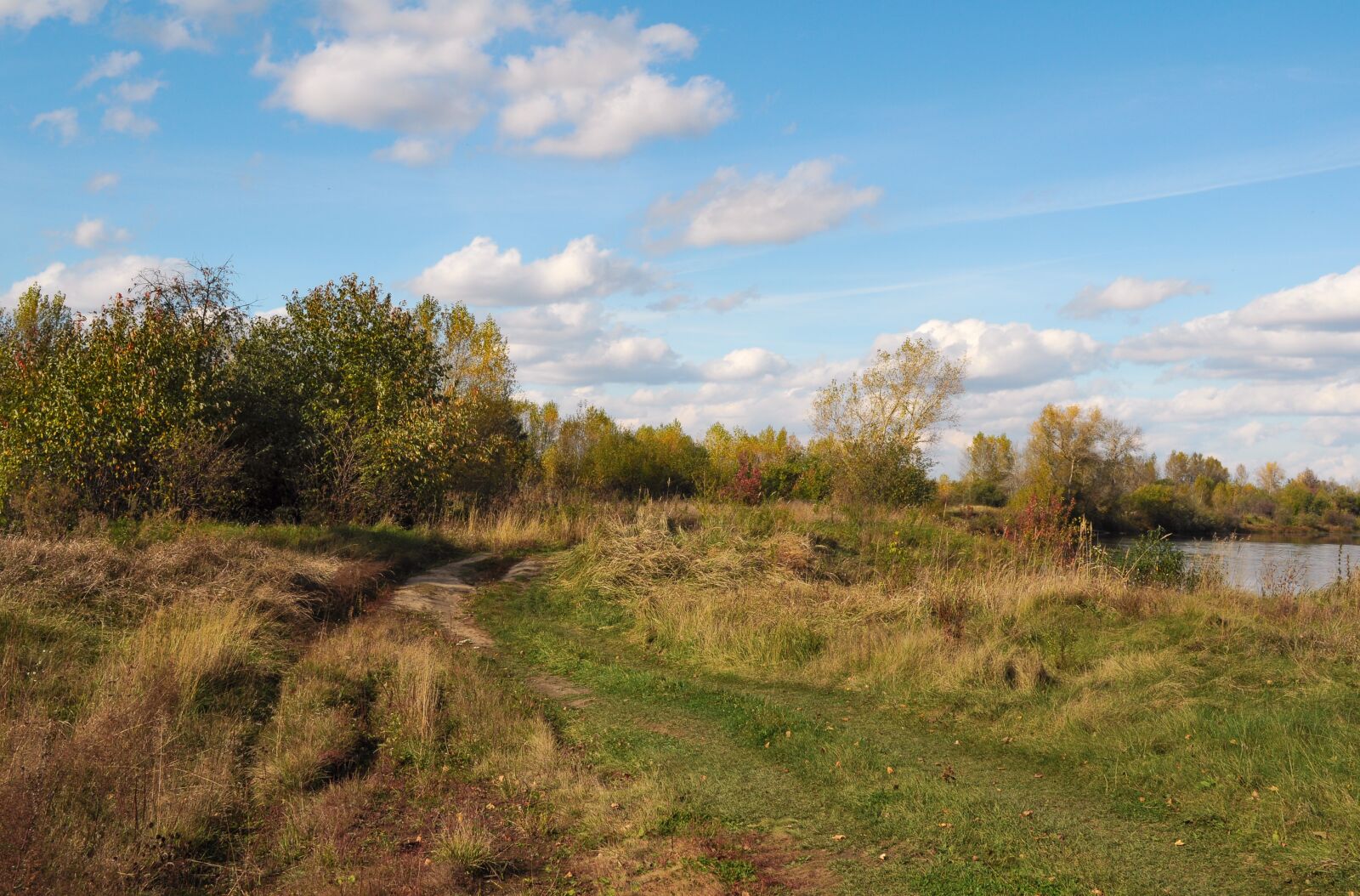 Nikon D5000 sample photo. Landscape, autumn, trail photography