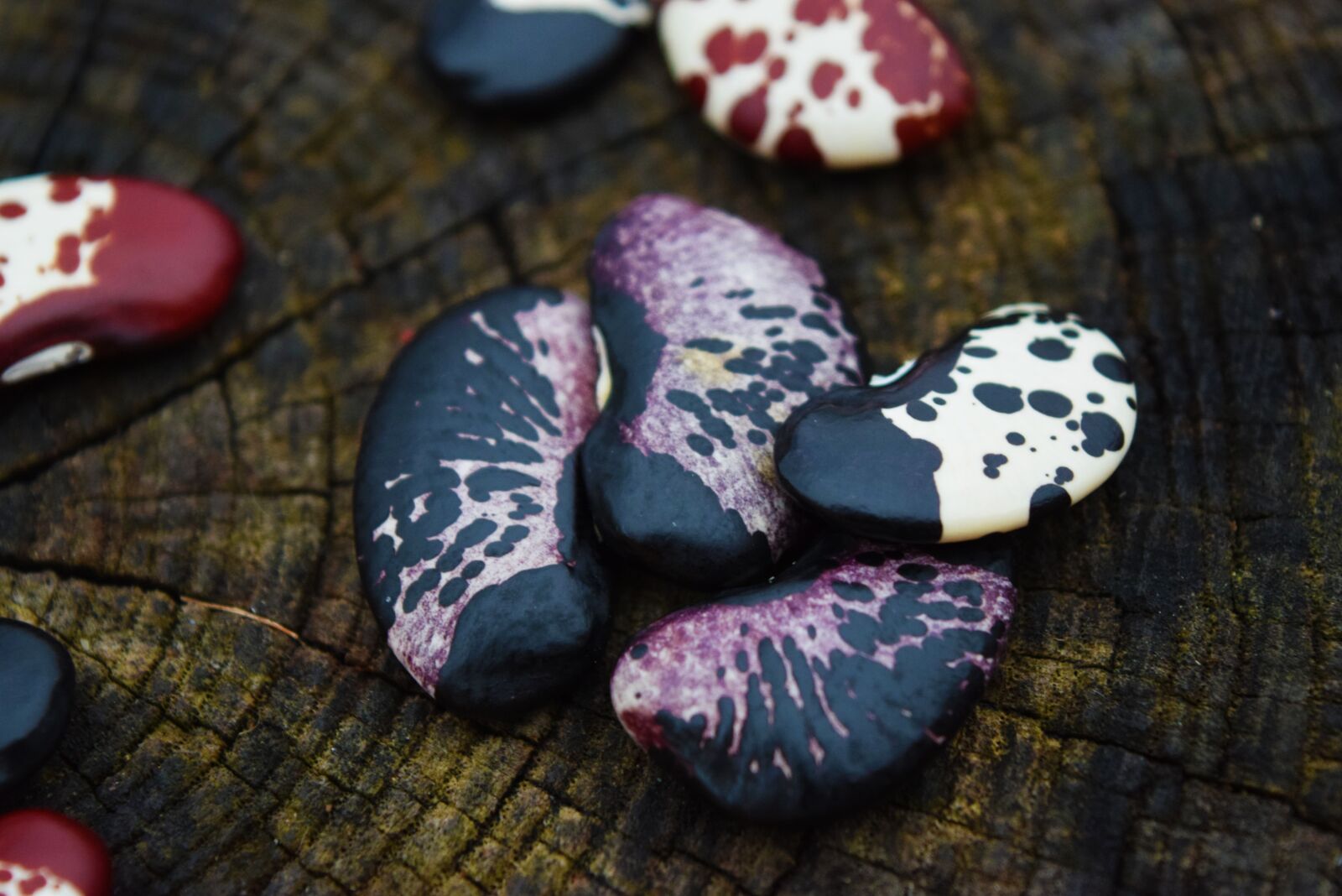Nikon D3300 sample photo. Seed, bean, lima bean photography