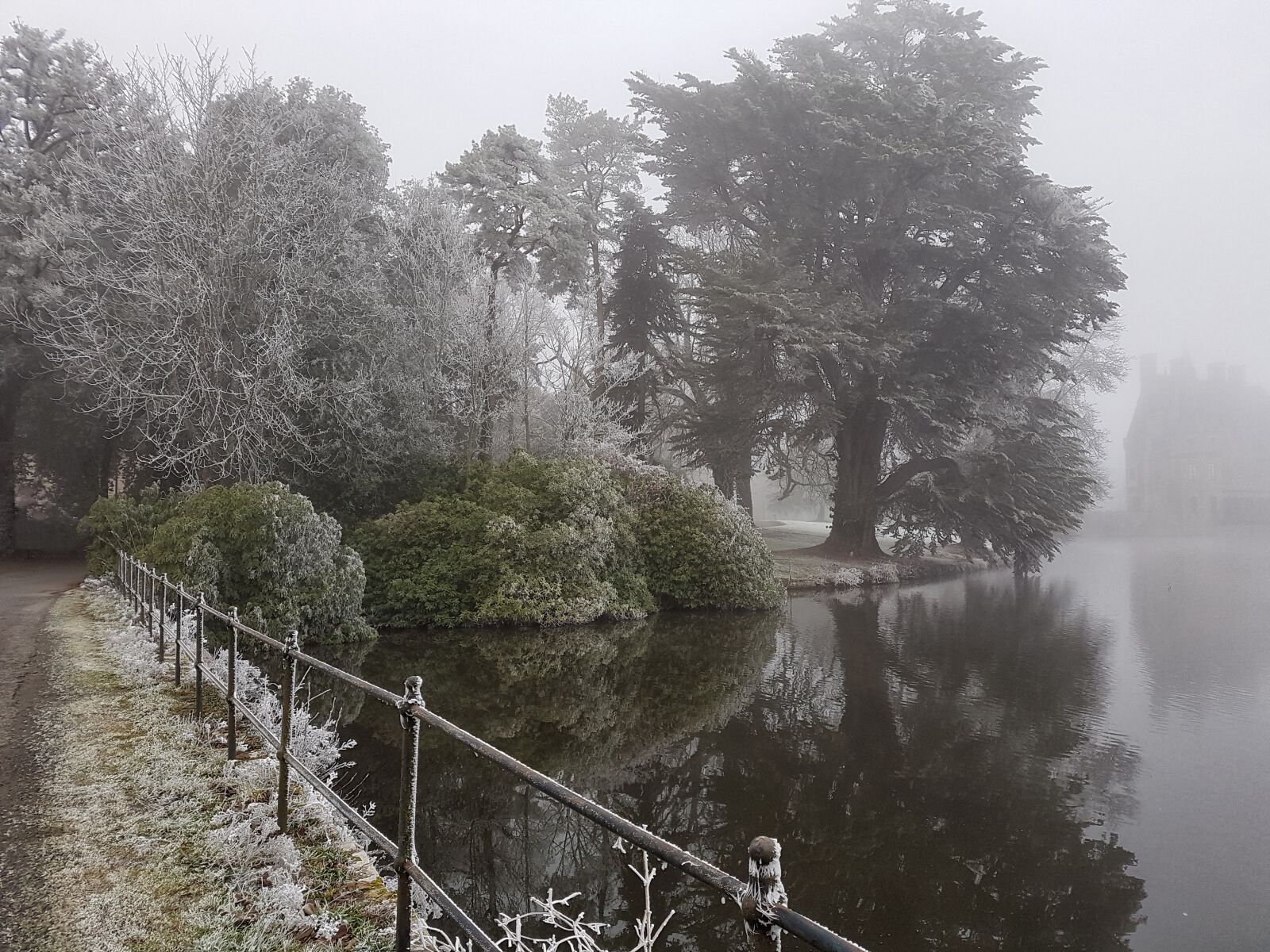 Samsung Galaxy S7 sample photo. Winter, fog, landscape photography