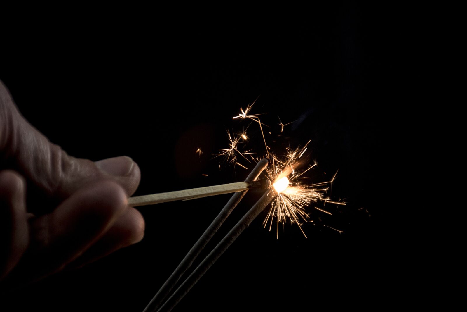 Nikon D5600 sample photo. Calls, celebration, darkness photography