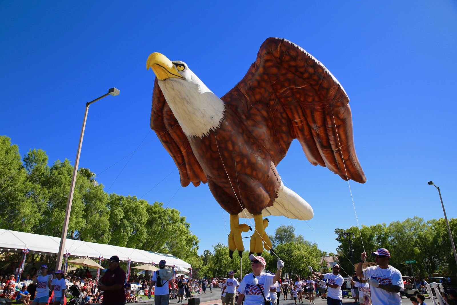 Canon EOS 6D sample photo. America, eagle, july 4 photography