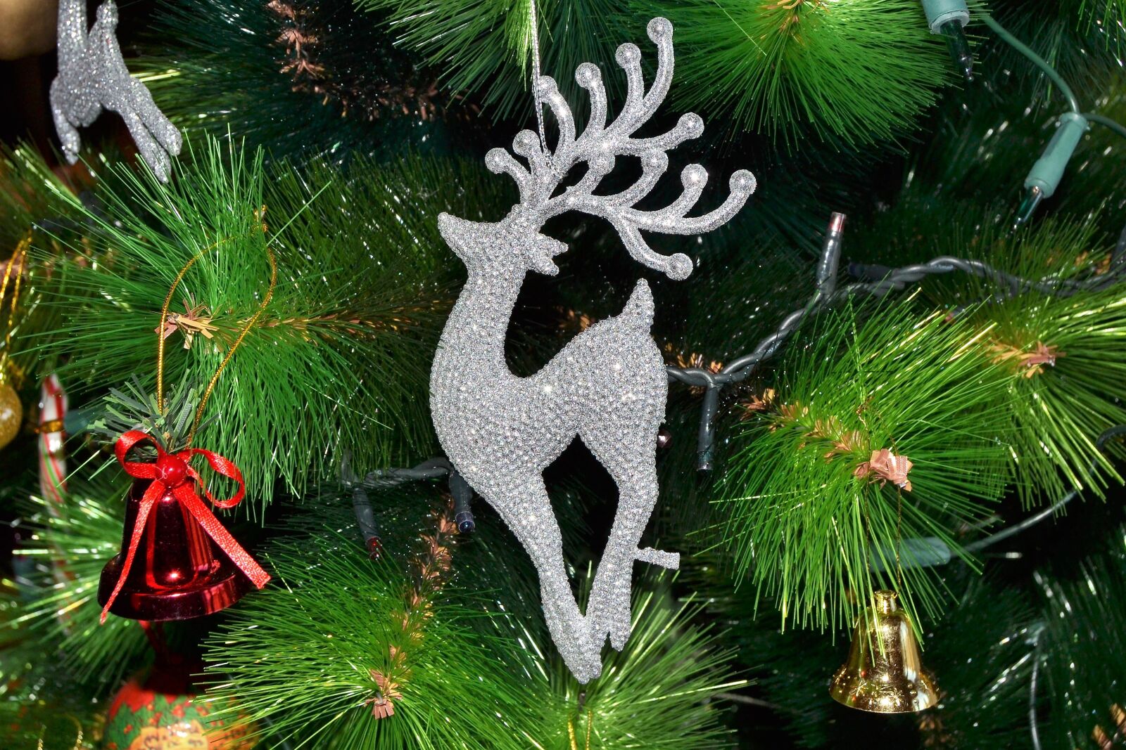 Nikon D3100 sample photo. Christmas, tree, christmas tree photography