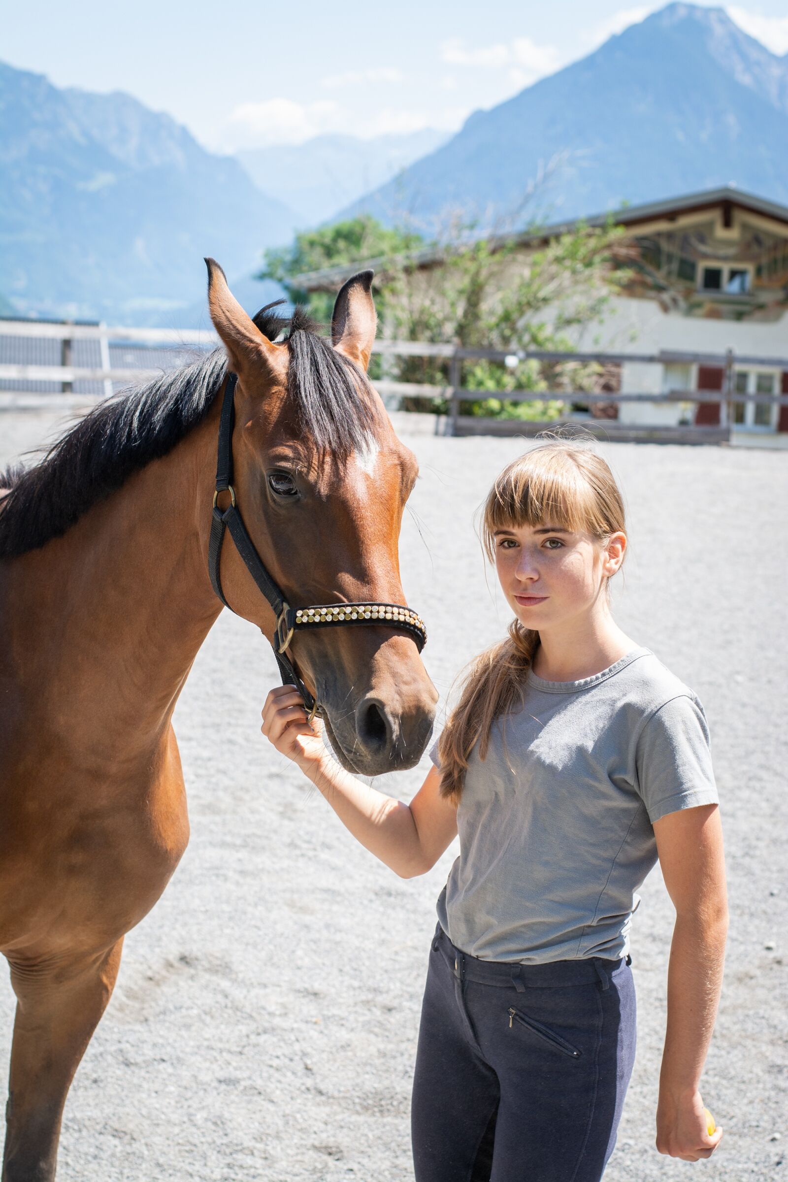 Nikon D7100 sample photo. Horse, pony, brown photography